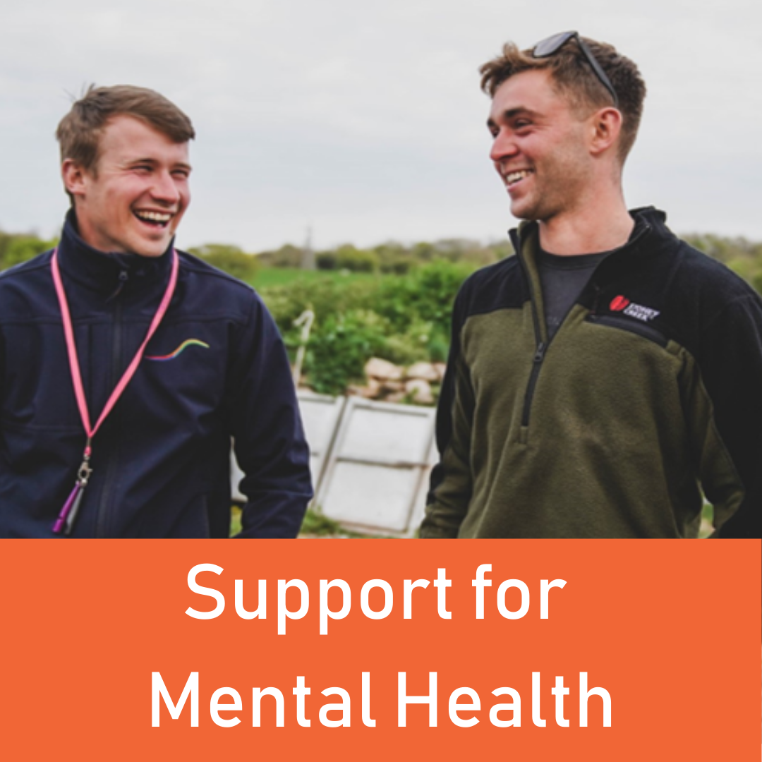 Website Icons (3).png