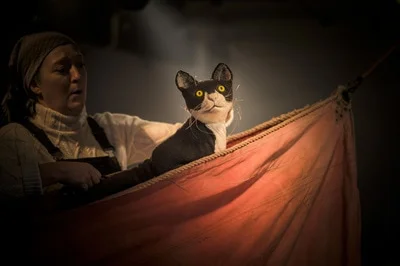 mouseholecat122016-9663_1.jpg