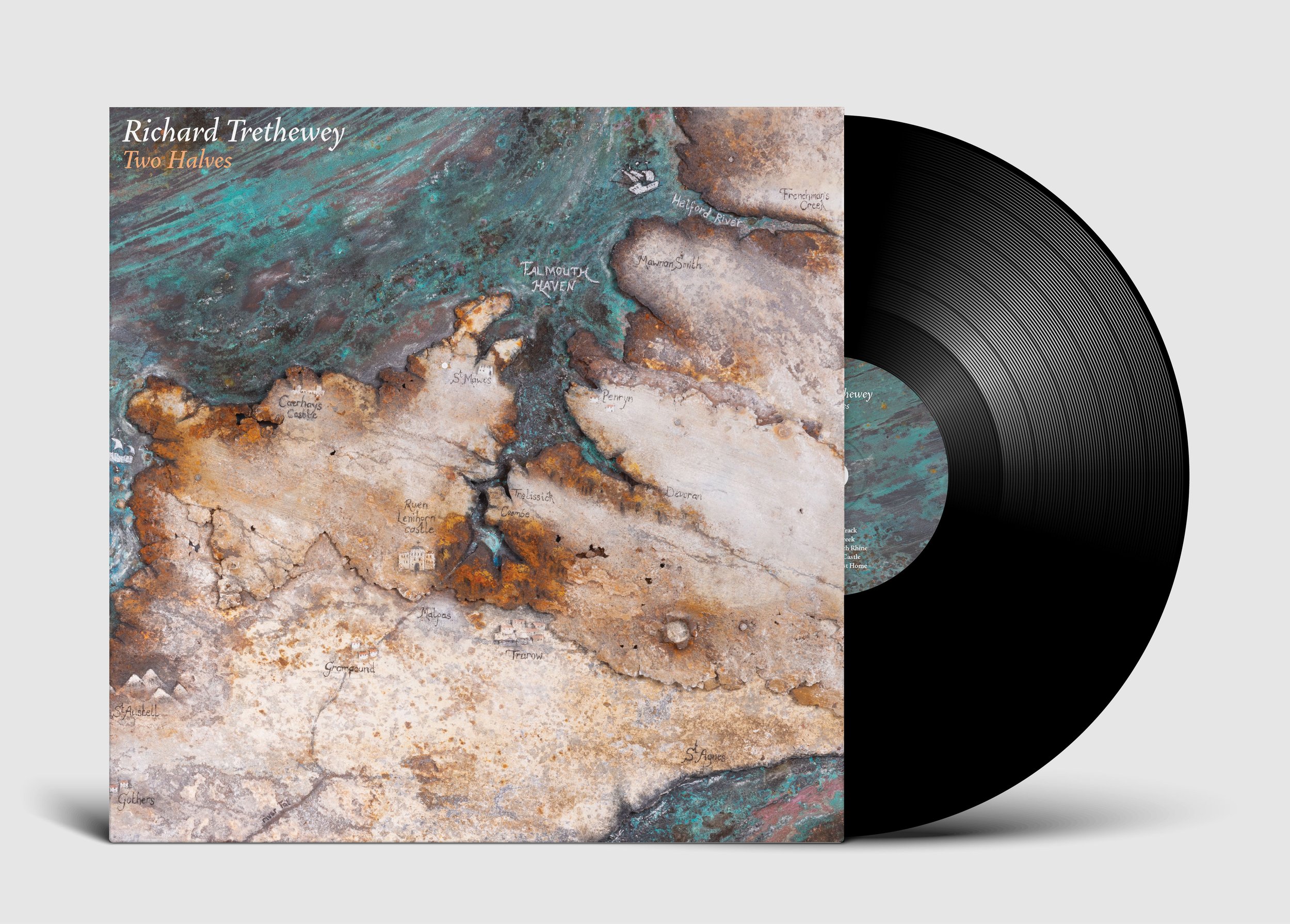 Vinyl in sleeve.jpg