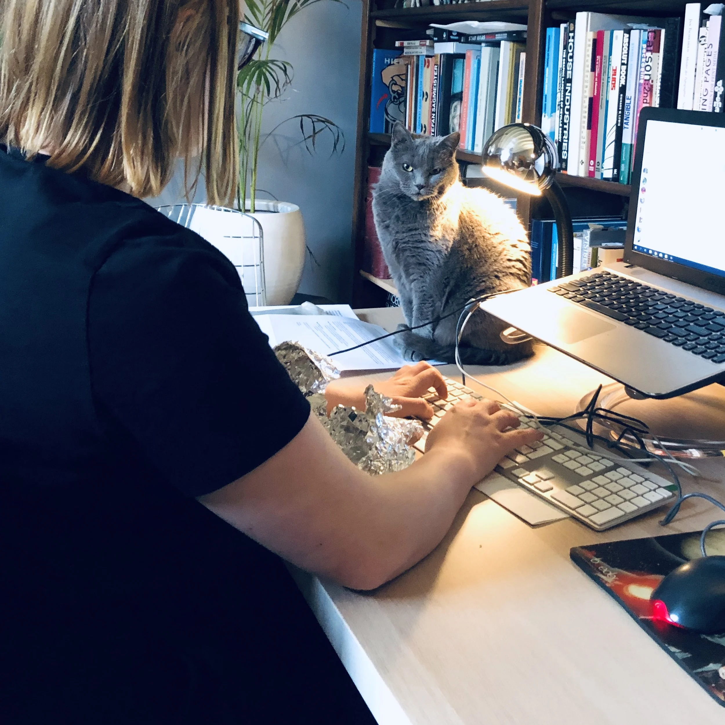 © Stille Bliksem - Aan het werk met onze personal assistant Schaduw