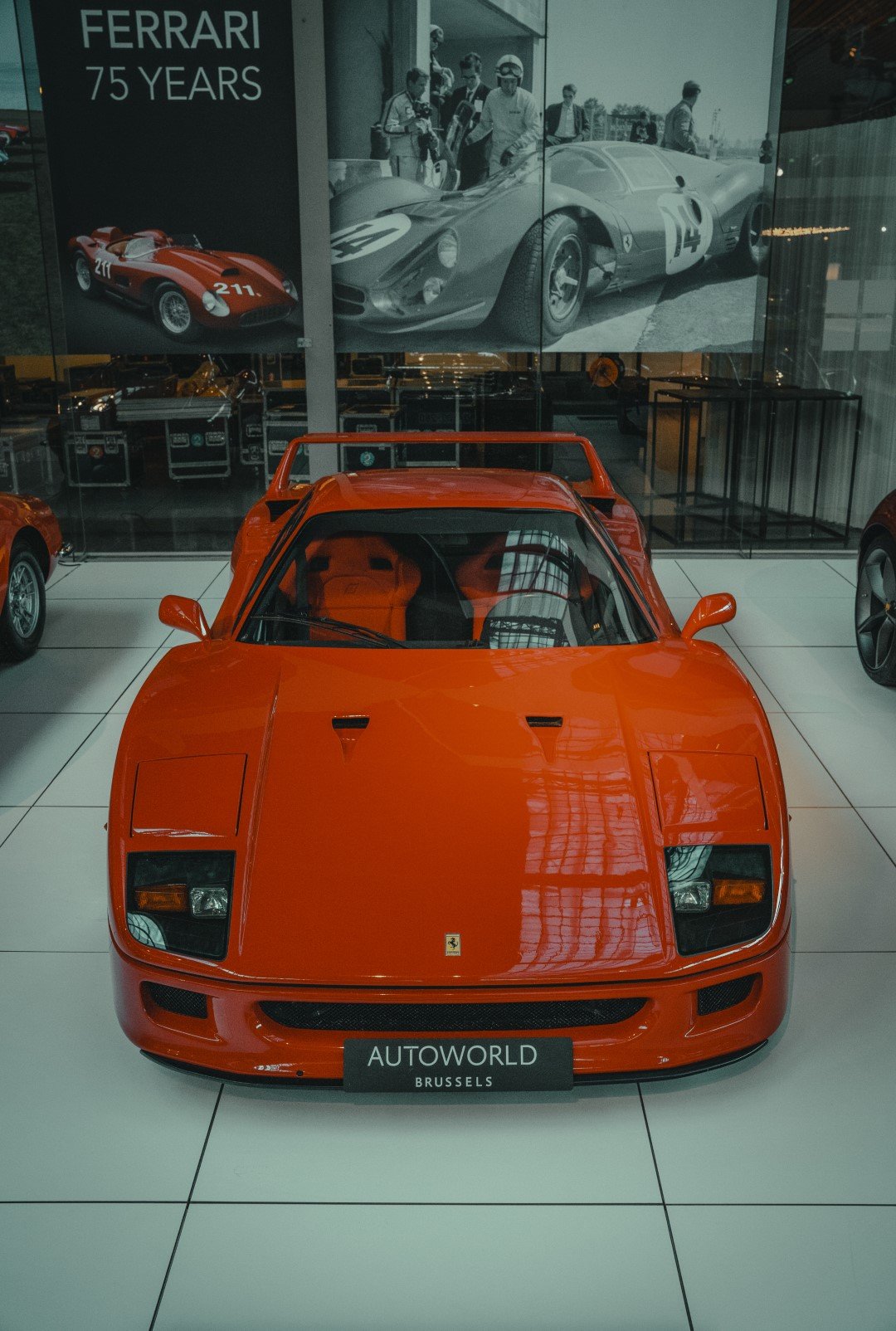 (Grande) DSC06777.jpg