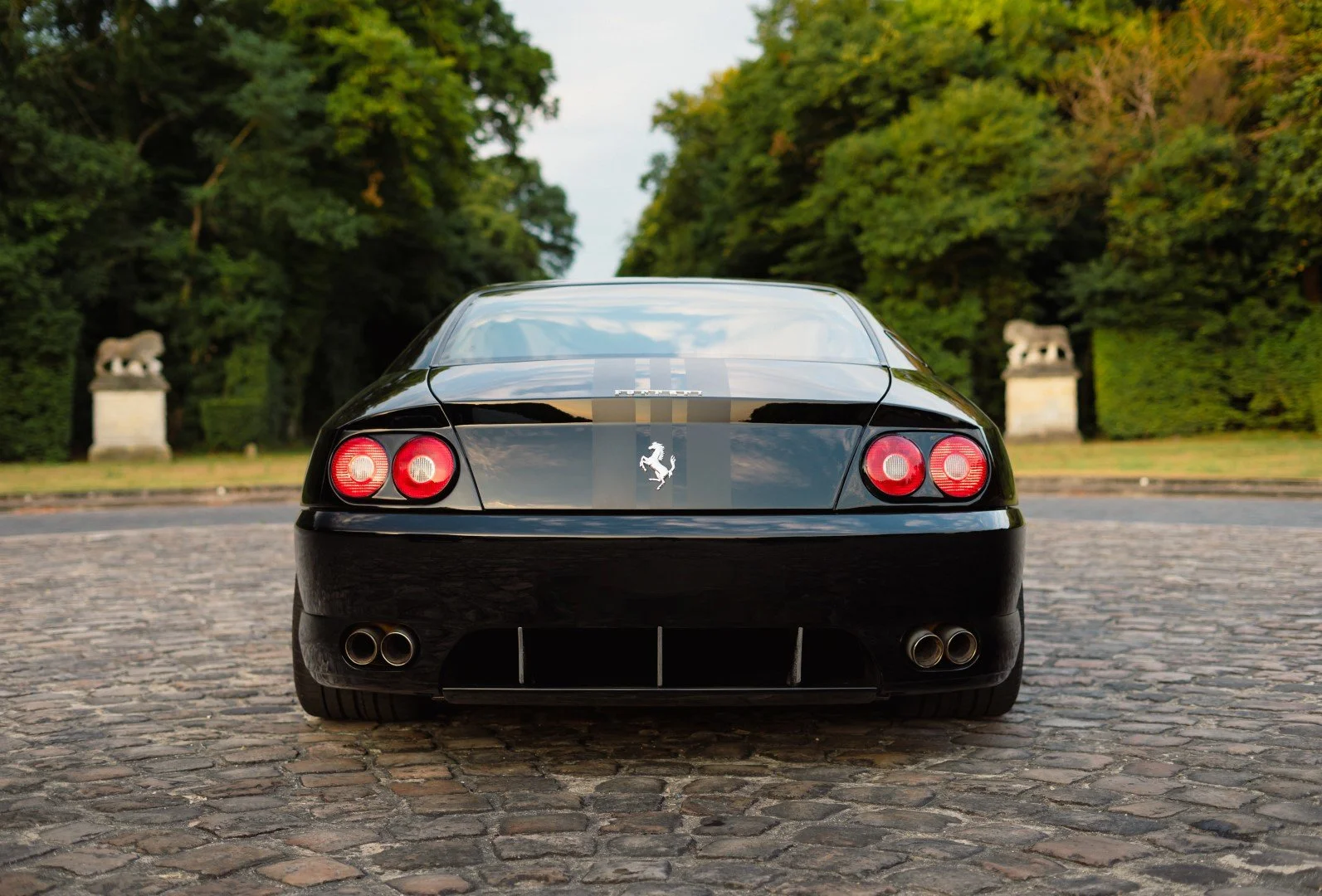 (Grande) DSC05848-Modifier-Modifier.jpg