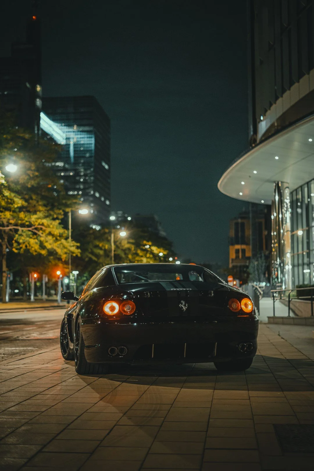 (Grande) DSC05859-Modifier.jpg