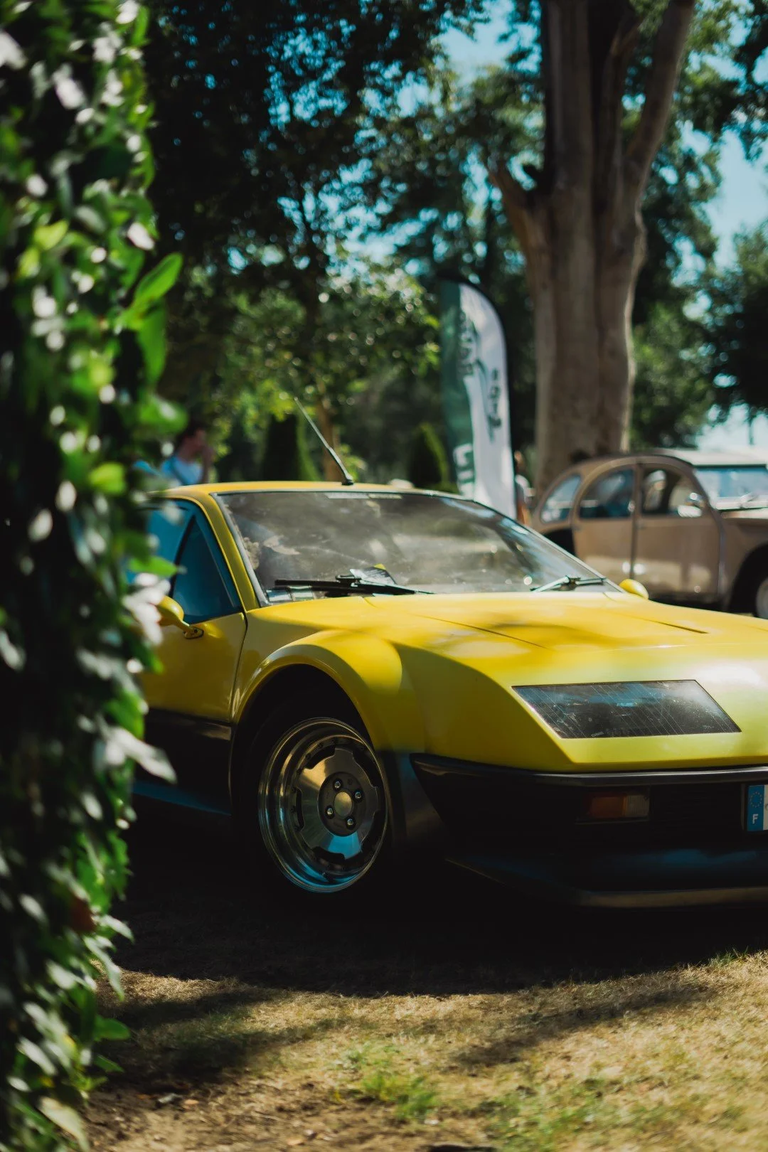 (Grande) DSC05721.jpg