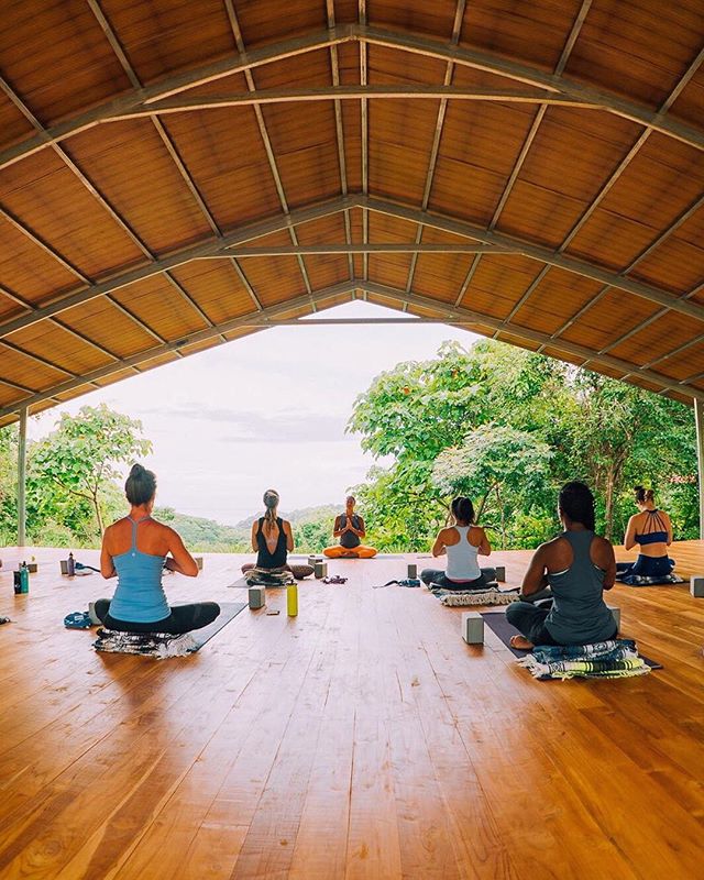 I&rsquo;m leading handful of 200-hour YTTs this year but only one of them is in the jungle overlooking the ocean with @thenycyogini. Don&rsquo;t be silly... come along with us!
.
July 26 - Aug 11, 2019 - @lilaflowyoga 200-hr teacher training at @rayo