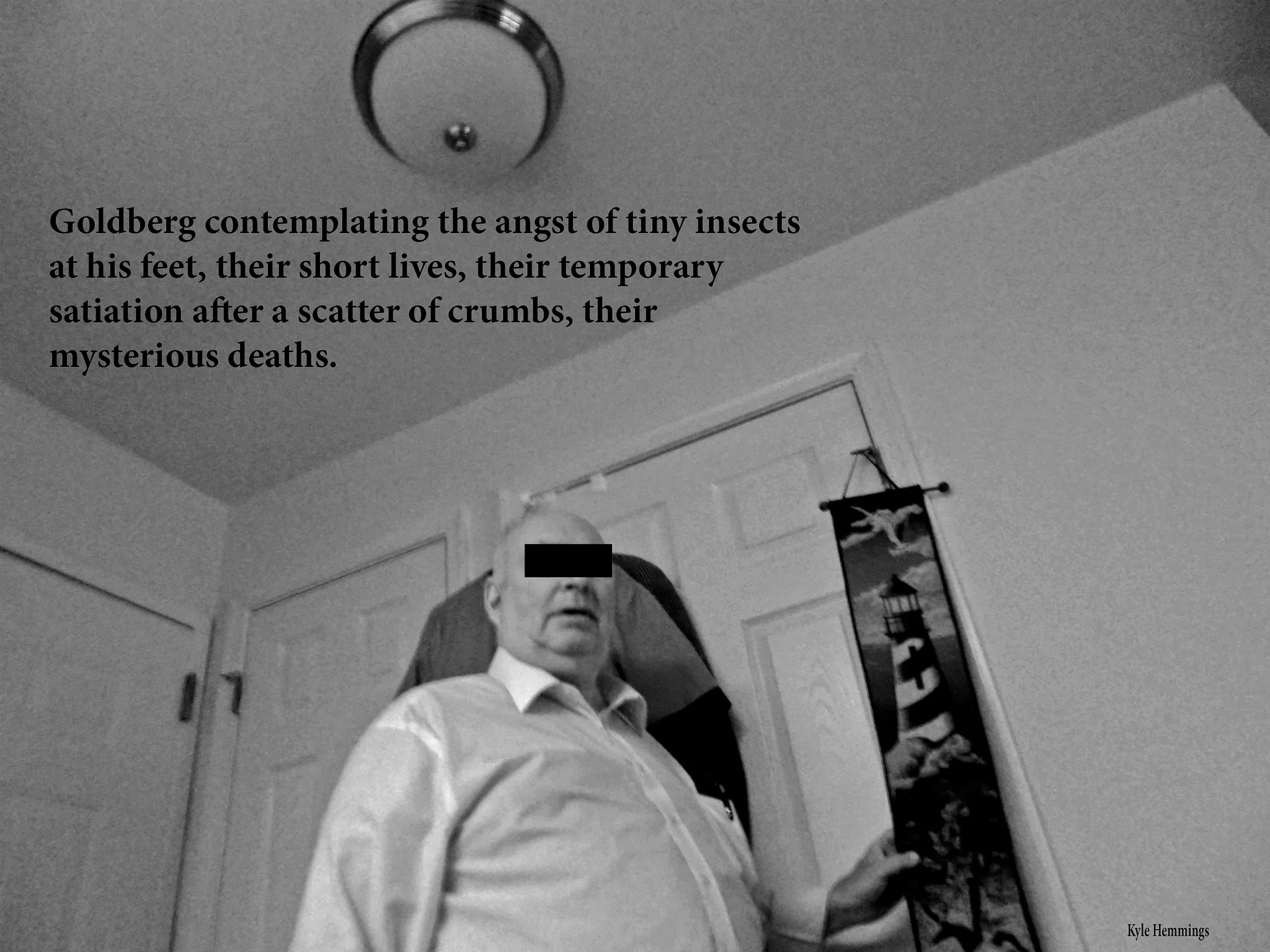 goldberg_1.jpg