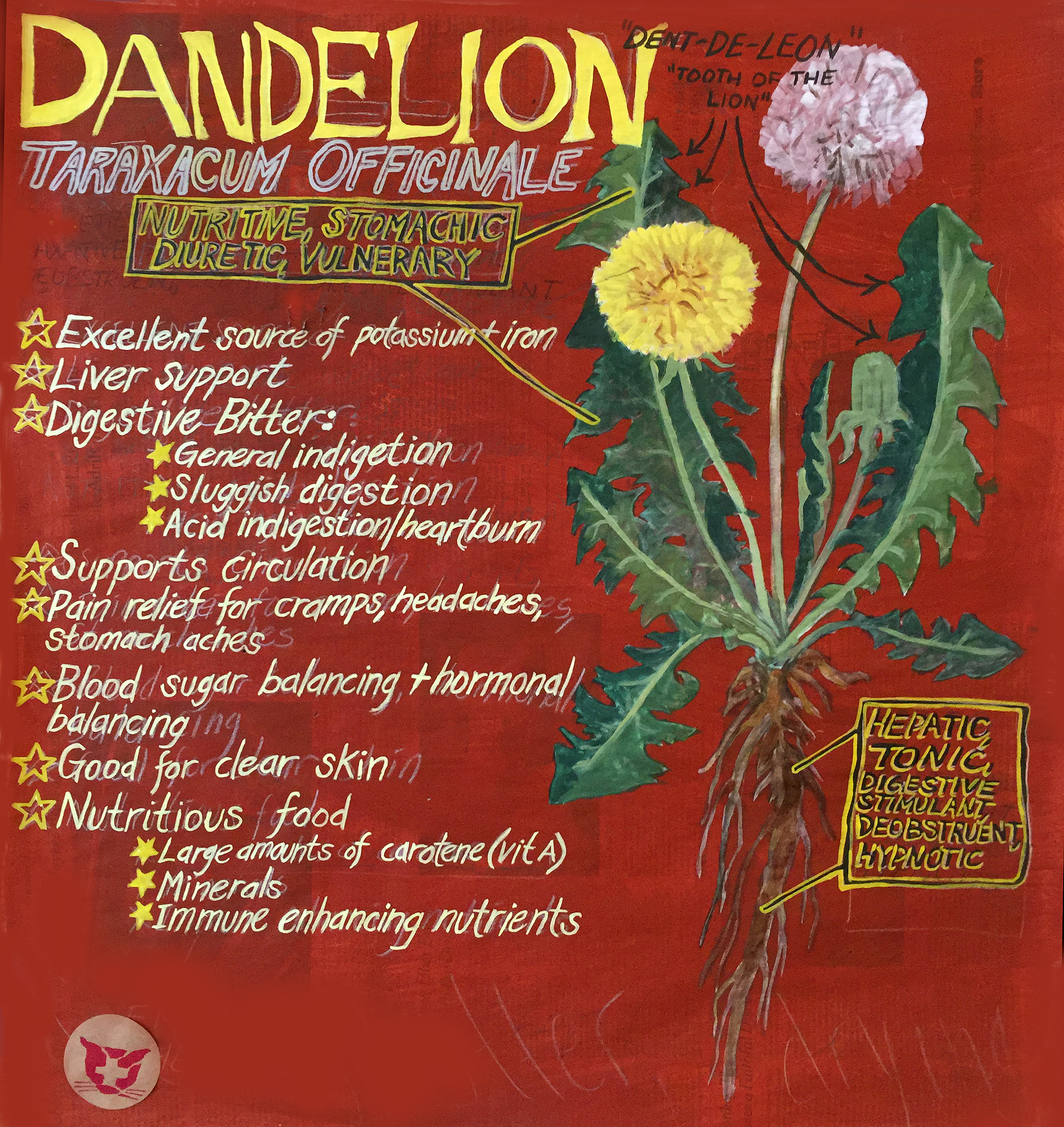 dandelion.jpg