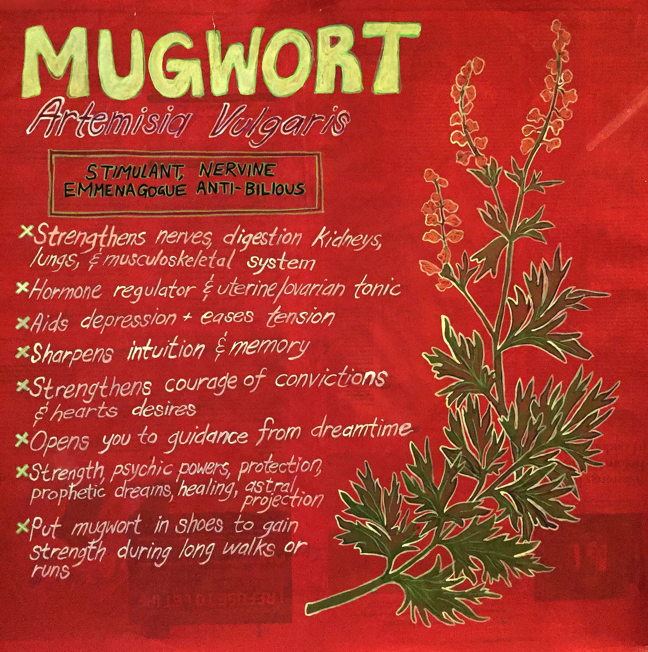 mugwort poster.jpg