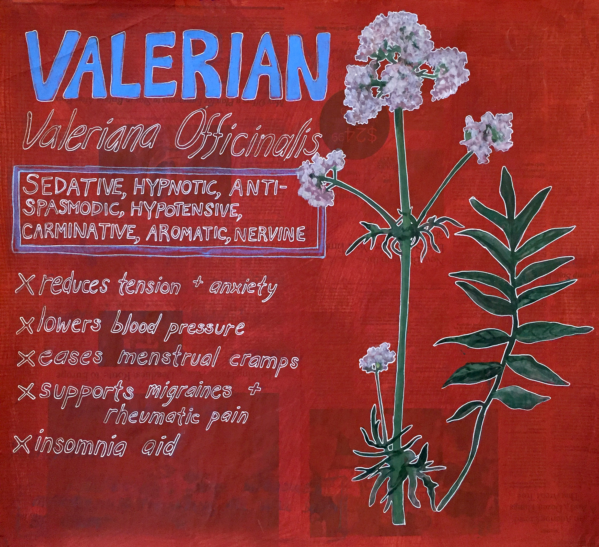 Valerian.jpg