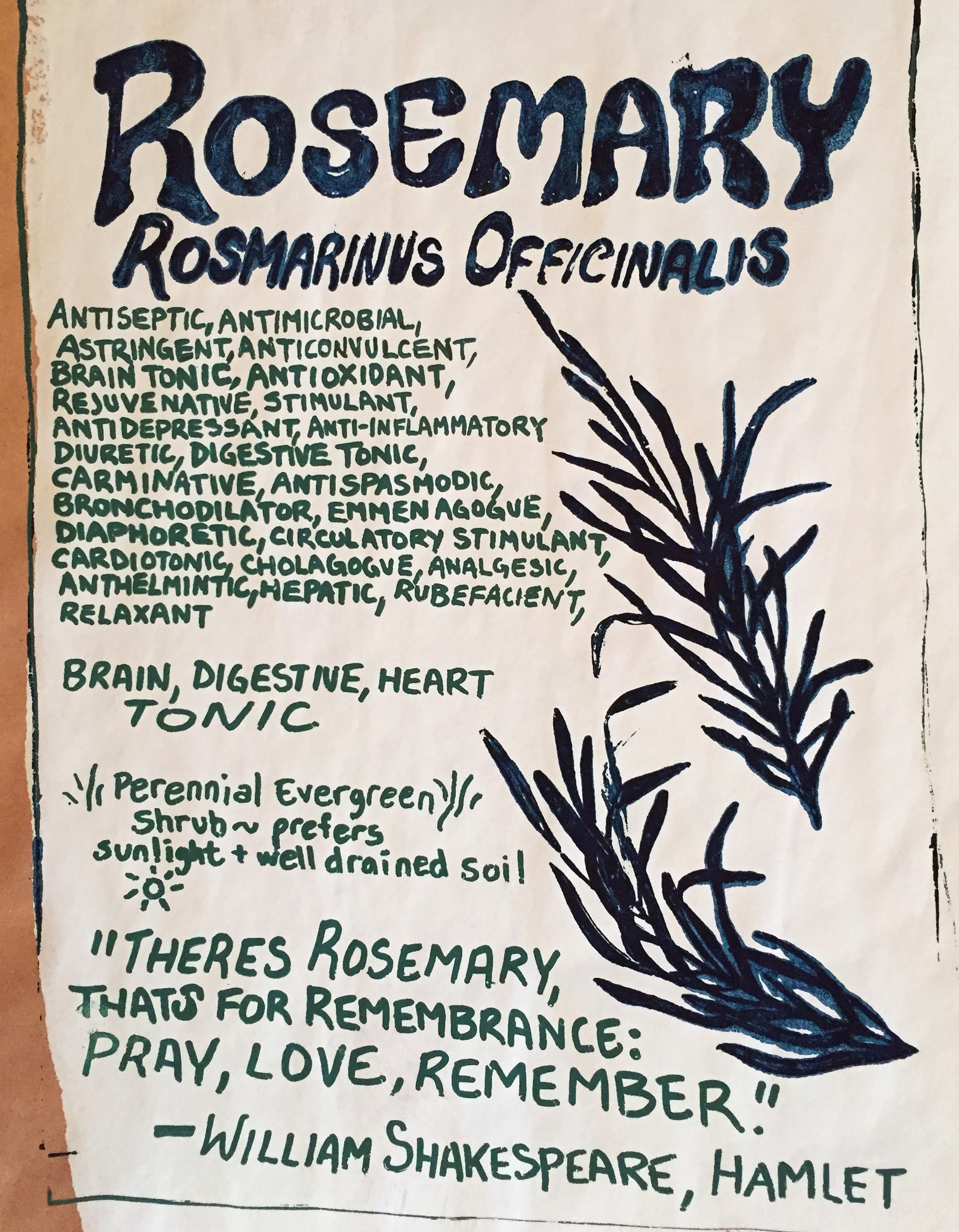 Rosemary poster.jpg