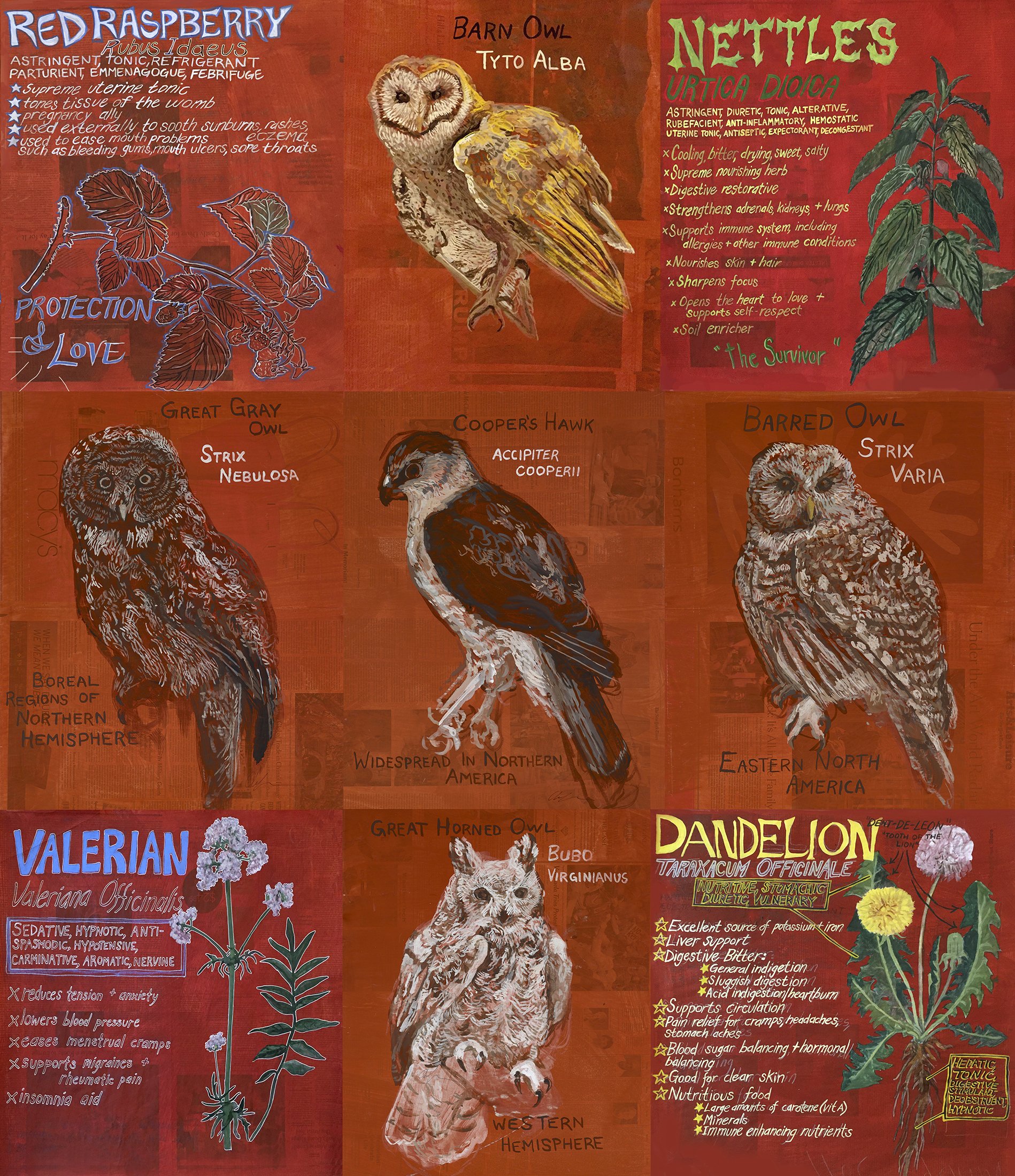  Eco-Art Edu Posters, 2017-2019  Approx. 18 in x 24 in  Red earth pigment, rabbit skin glue, and gouache on newspaper 