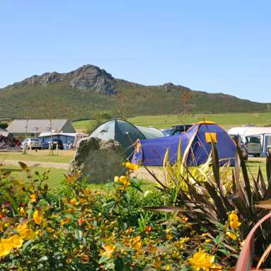 lleithyrfarmcamping.jpg