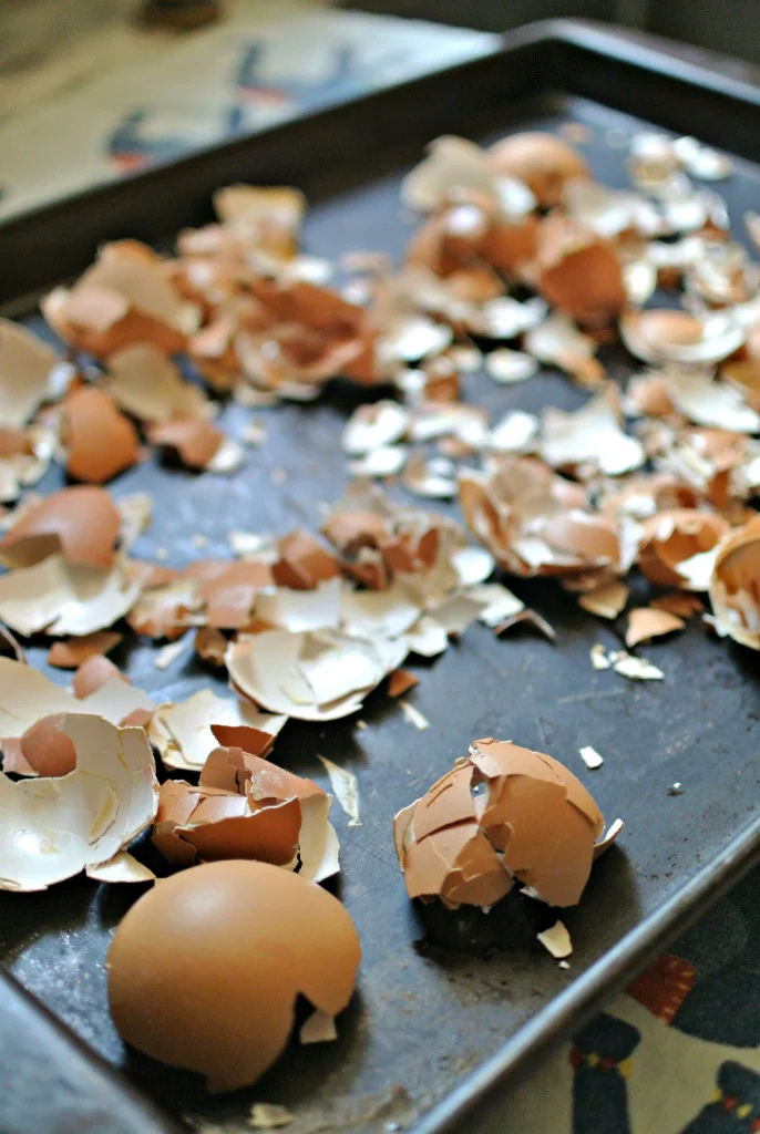 Waste not, want not; using eggshells in the garden