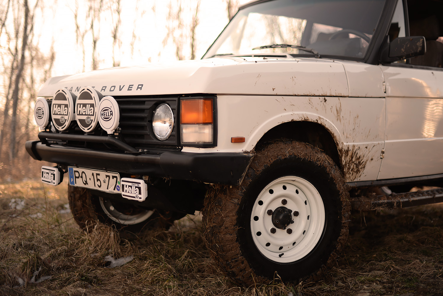 1982 Land Rover, Range Rover Classic - Commonwealth Classics