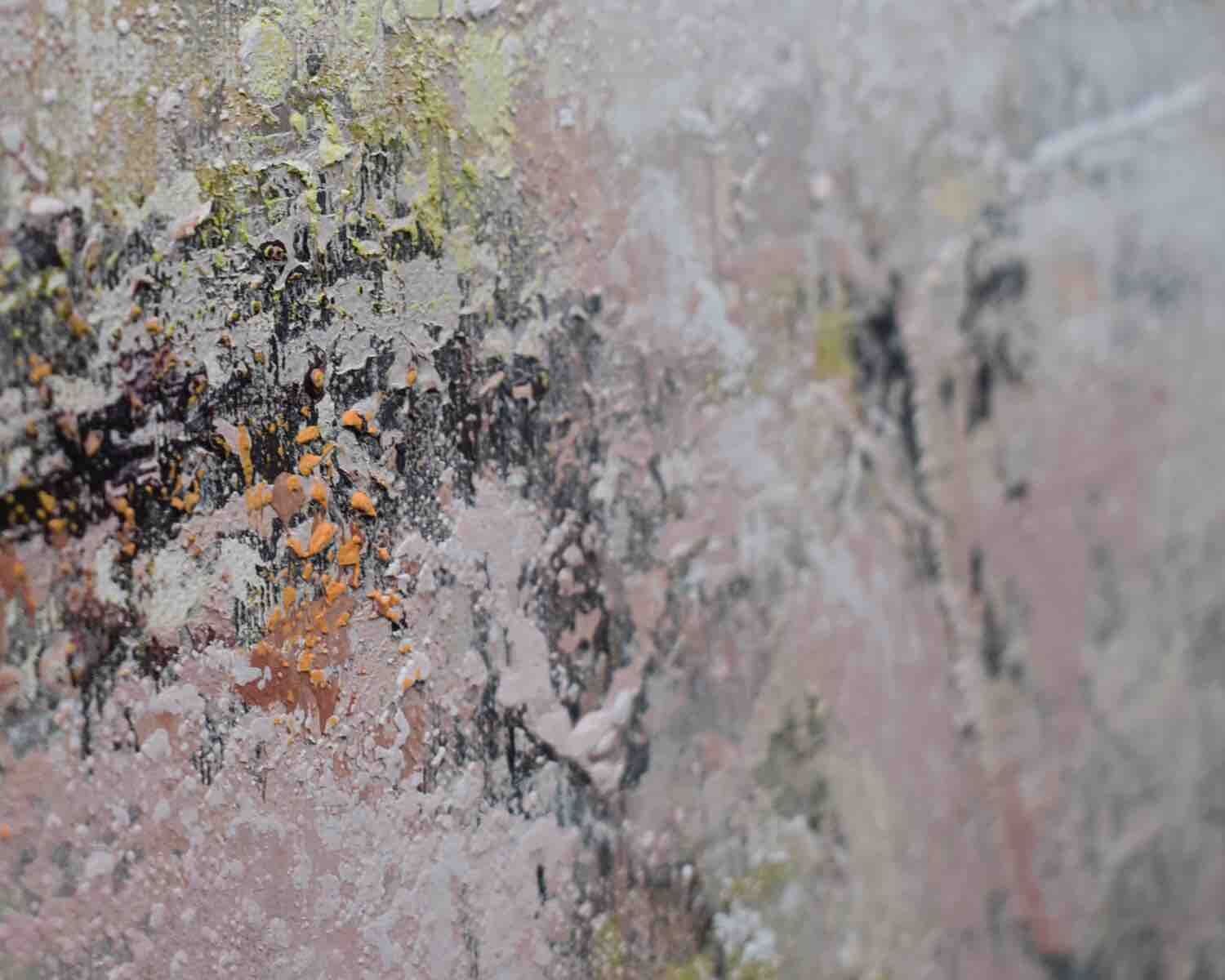 Detail of textured pink and citrus green paint on canvas by Emma Tweedie