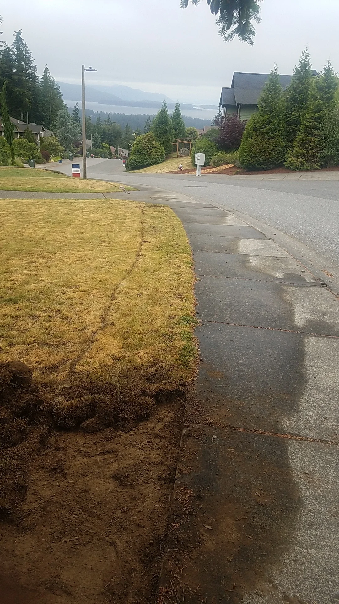 BEFORE- SIMPLE GRASS LAWN TO SIDEWALK
