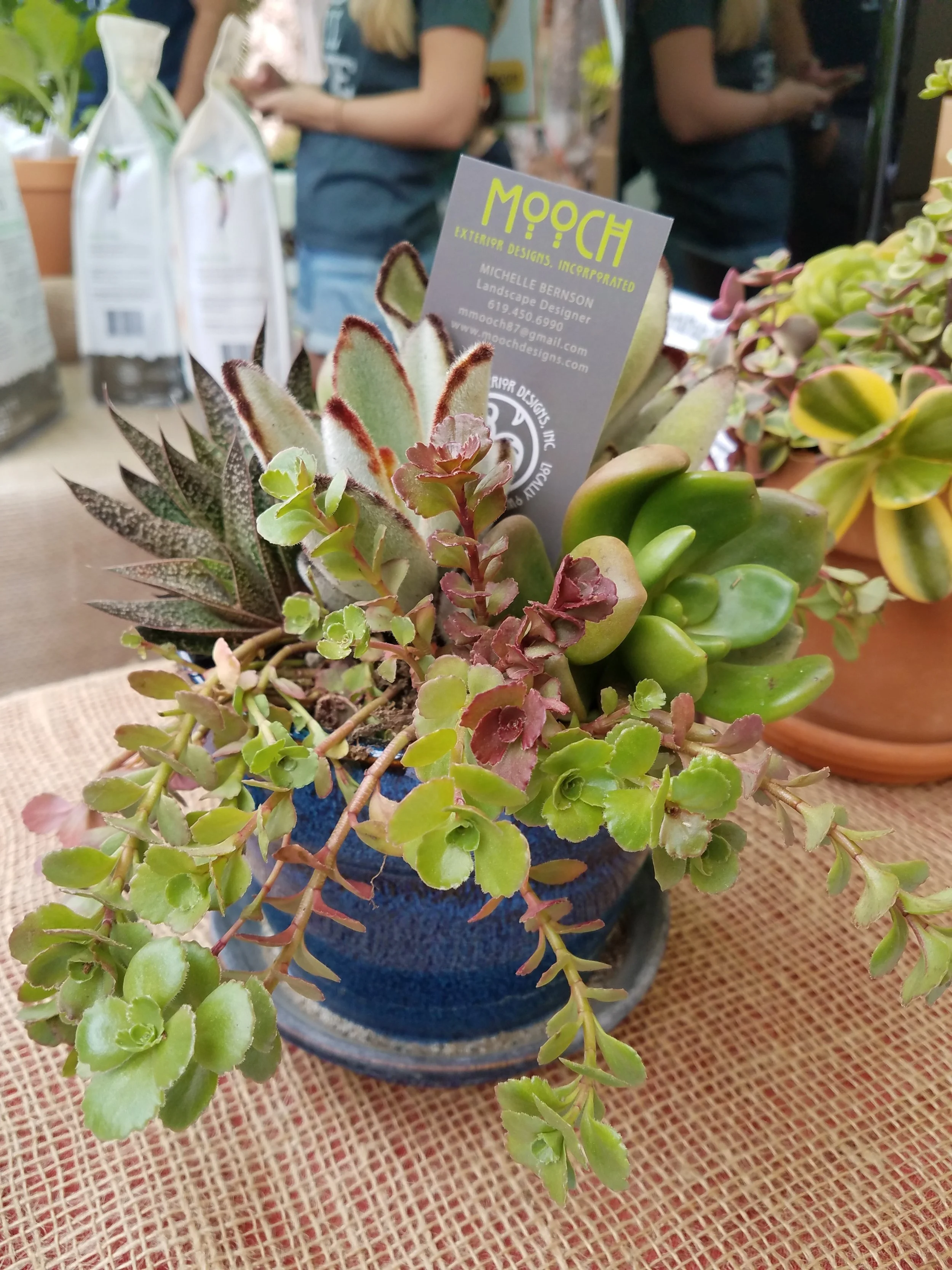 20170423_091114.jpg