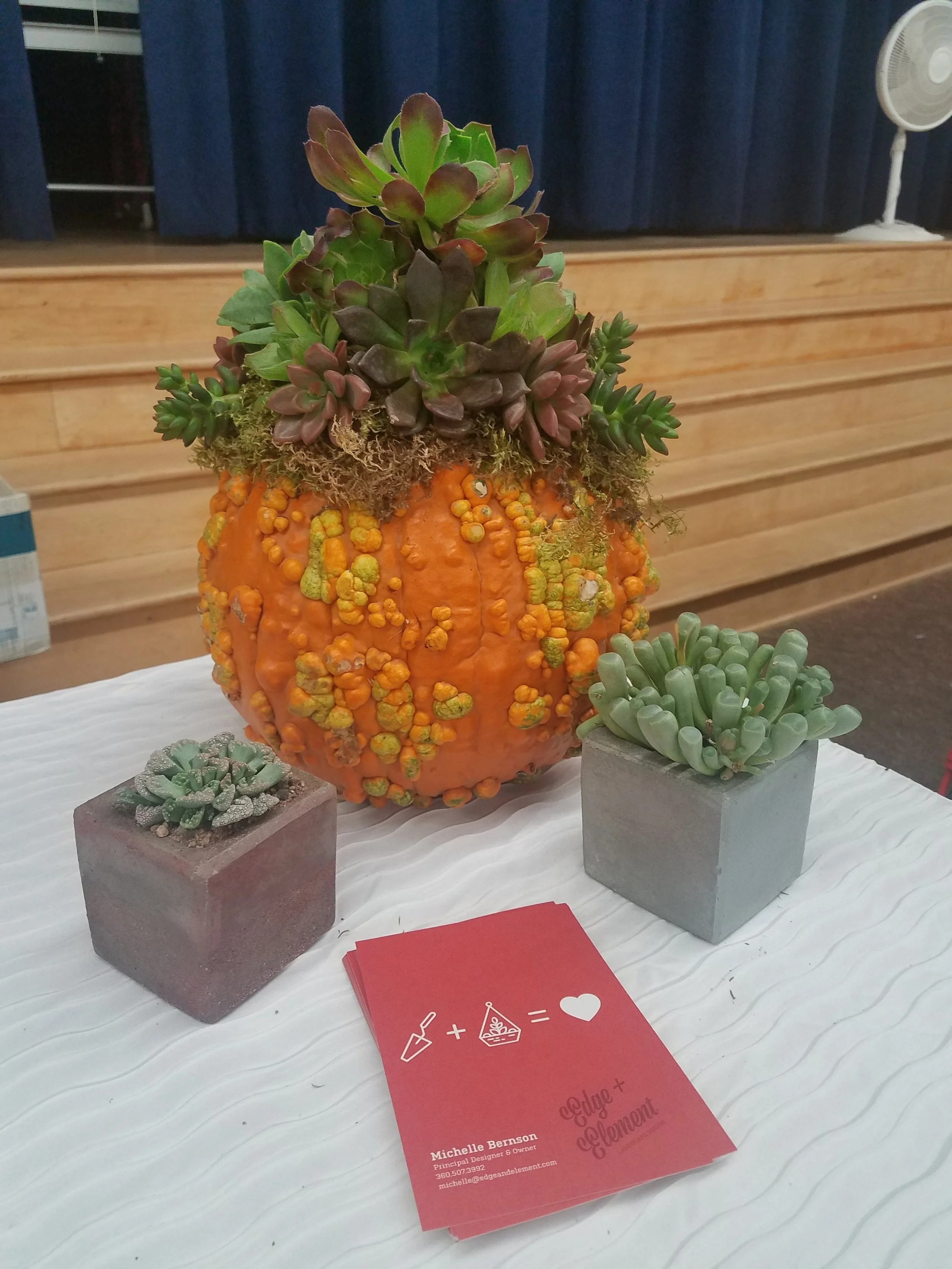 20171102_202056.jpg