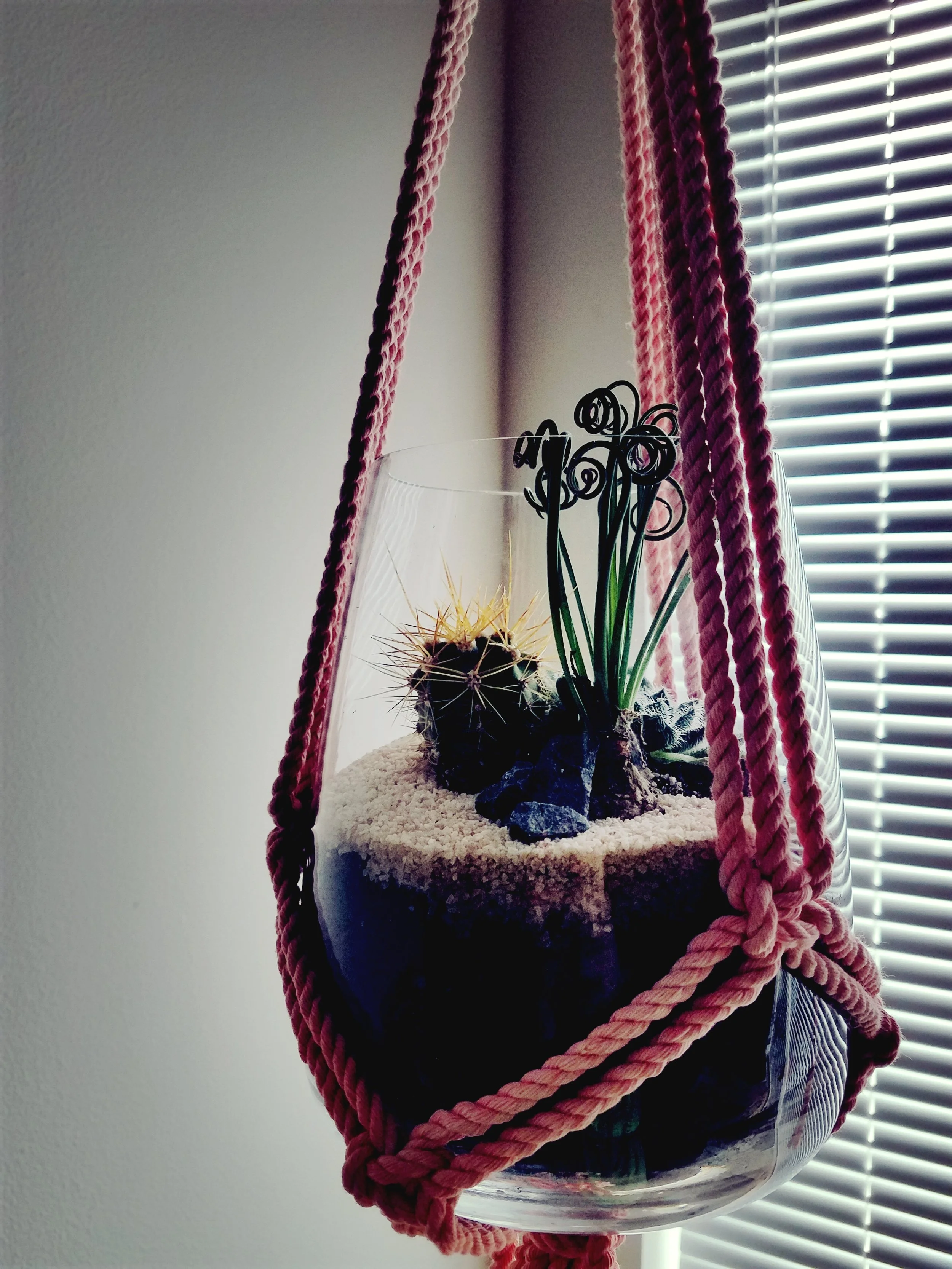 20180415_084335.jpg
