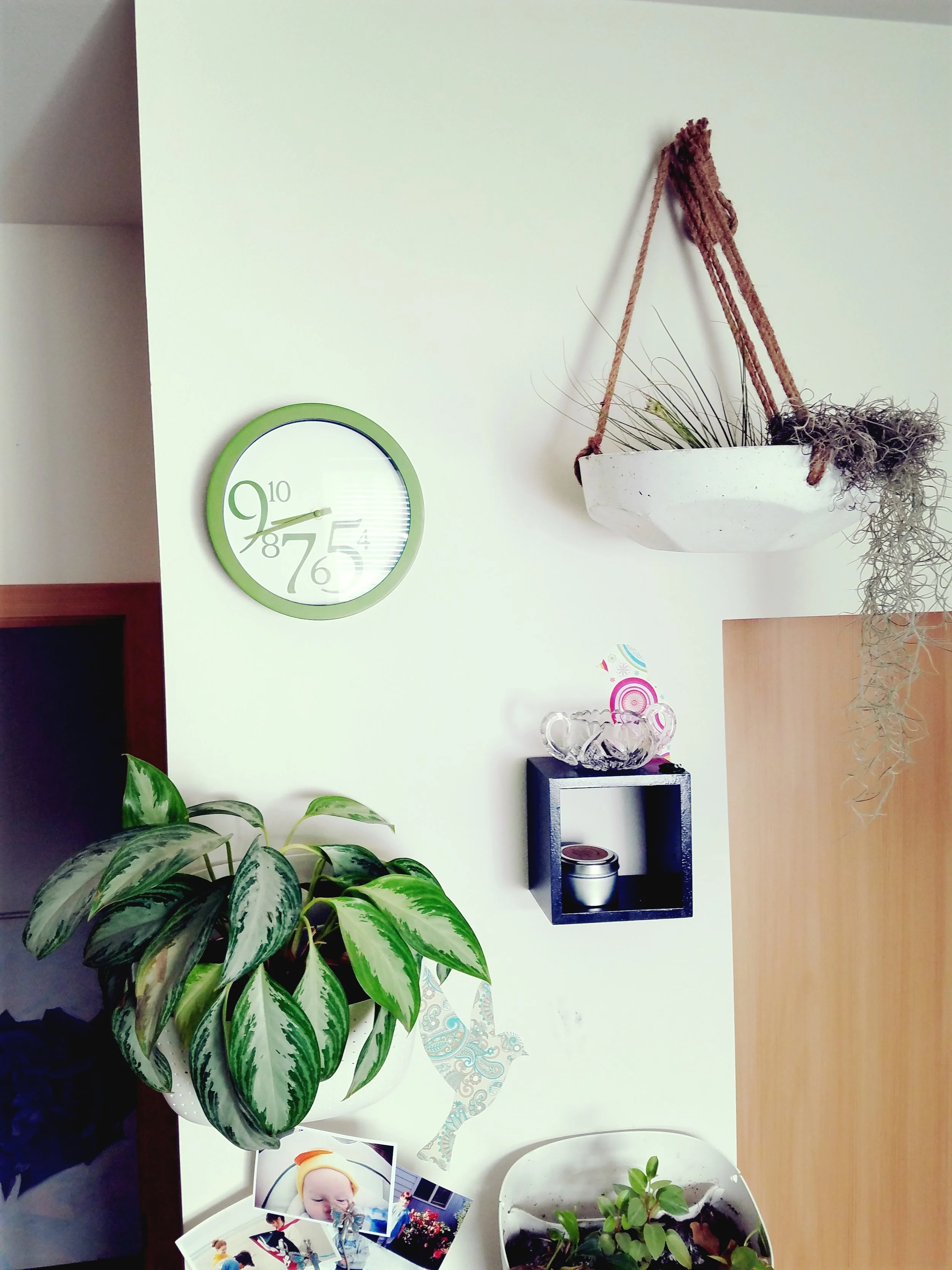 20180415_084409.jpg