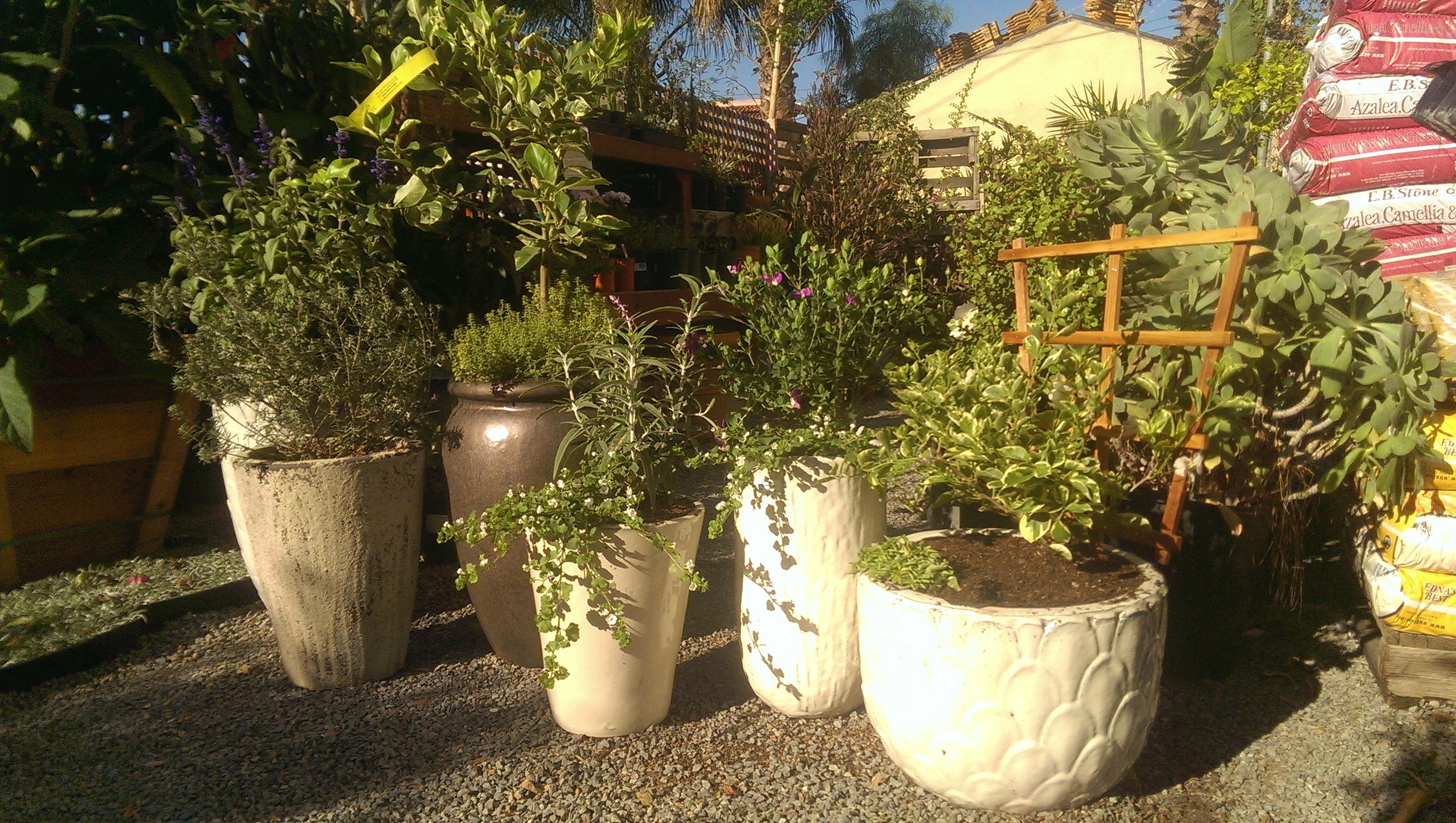 2015-04-06 08.47.26.jpg