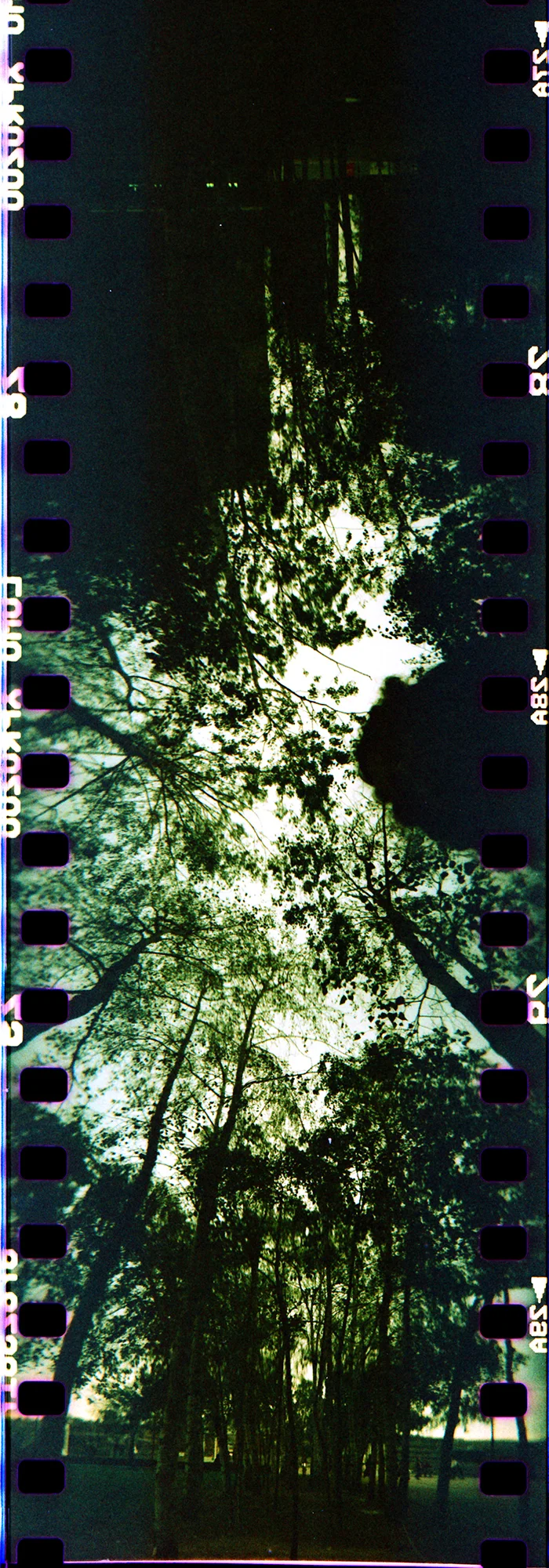 London, UK September 2013 Spinner 360° Lomo Slide XPRO 200