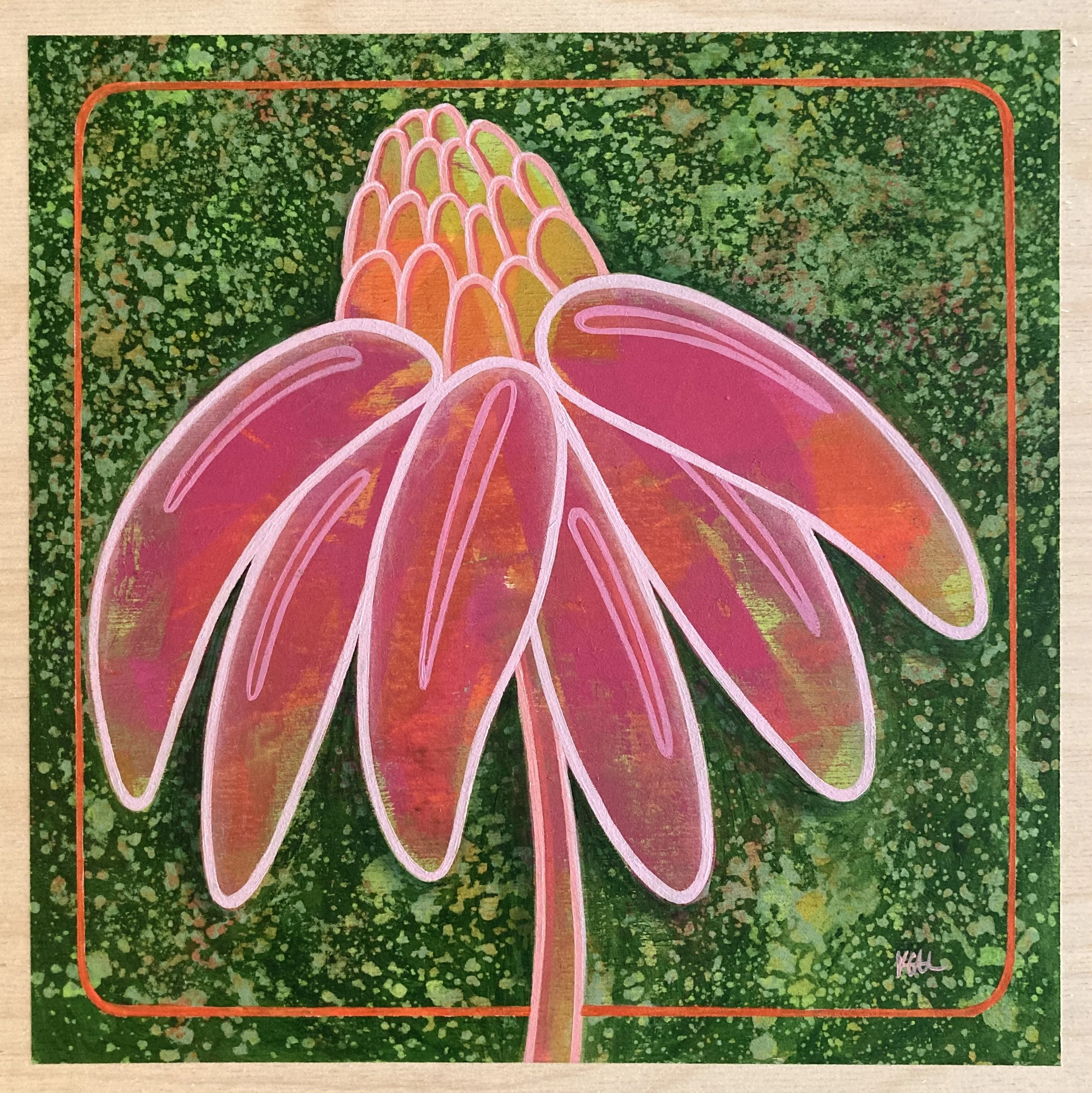 echinachea.JPG