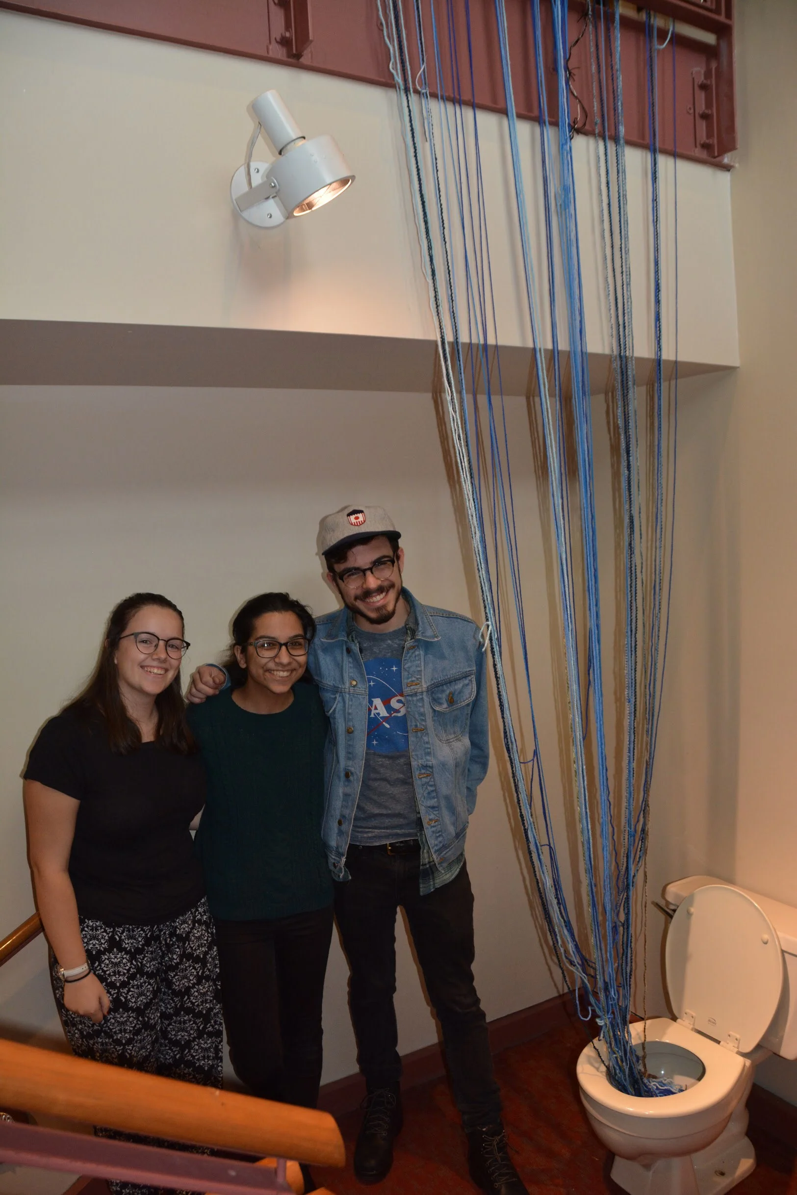 Flushed: A String Through America