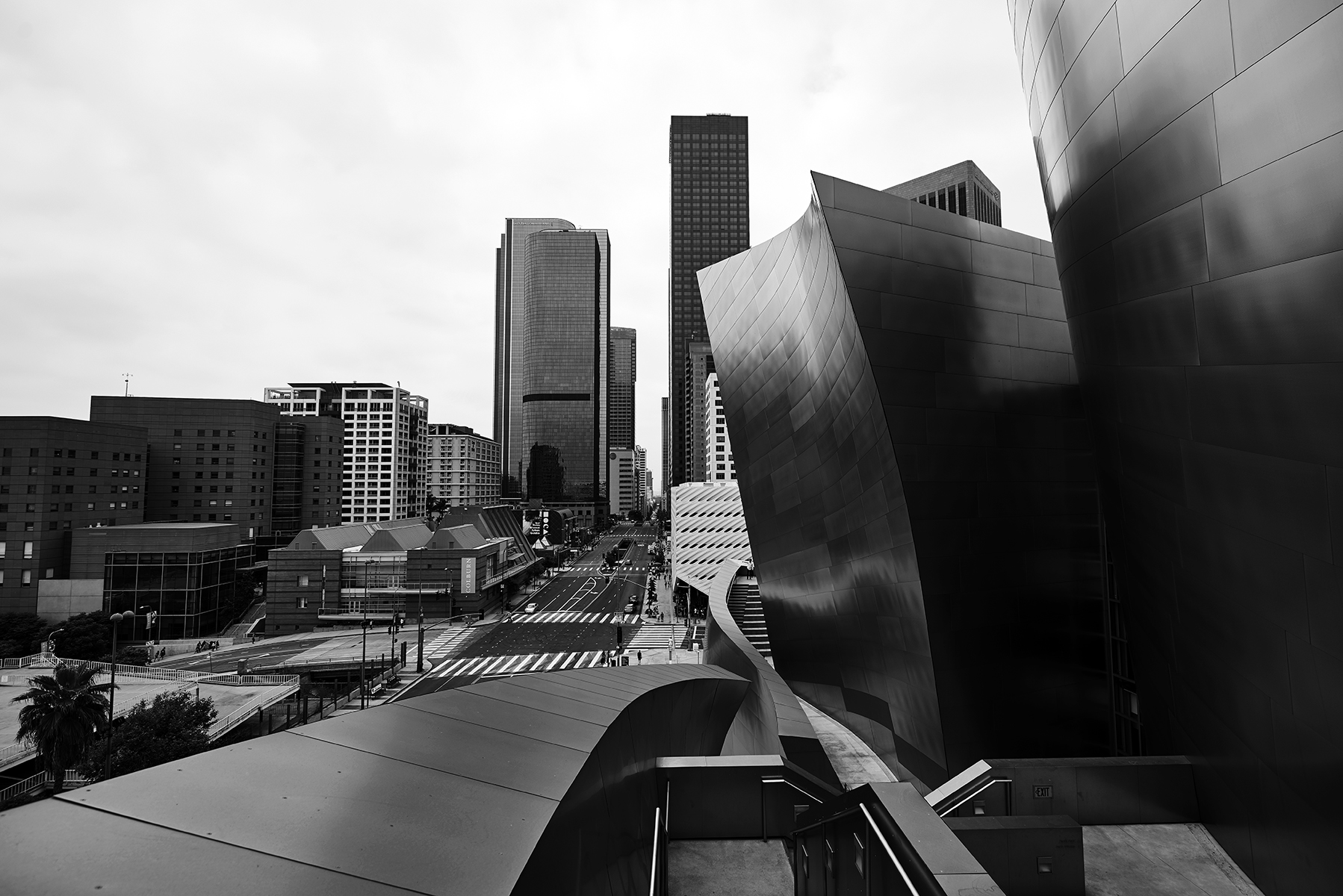 DSC_2420nsw.jpg