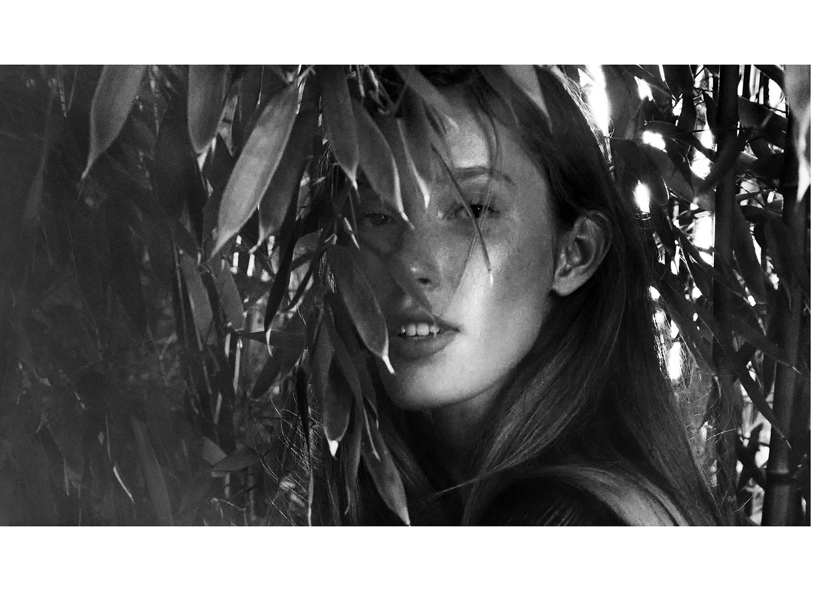 jungle-love5.jpg