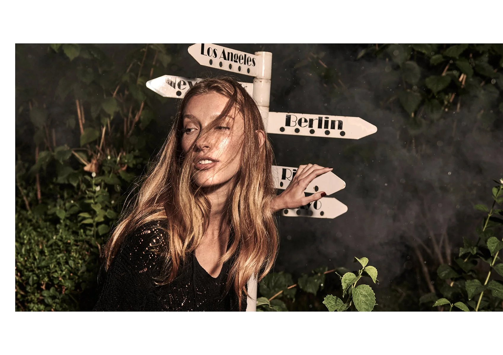 jungle-love10.jpg