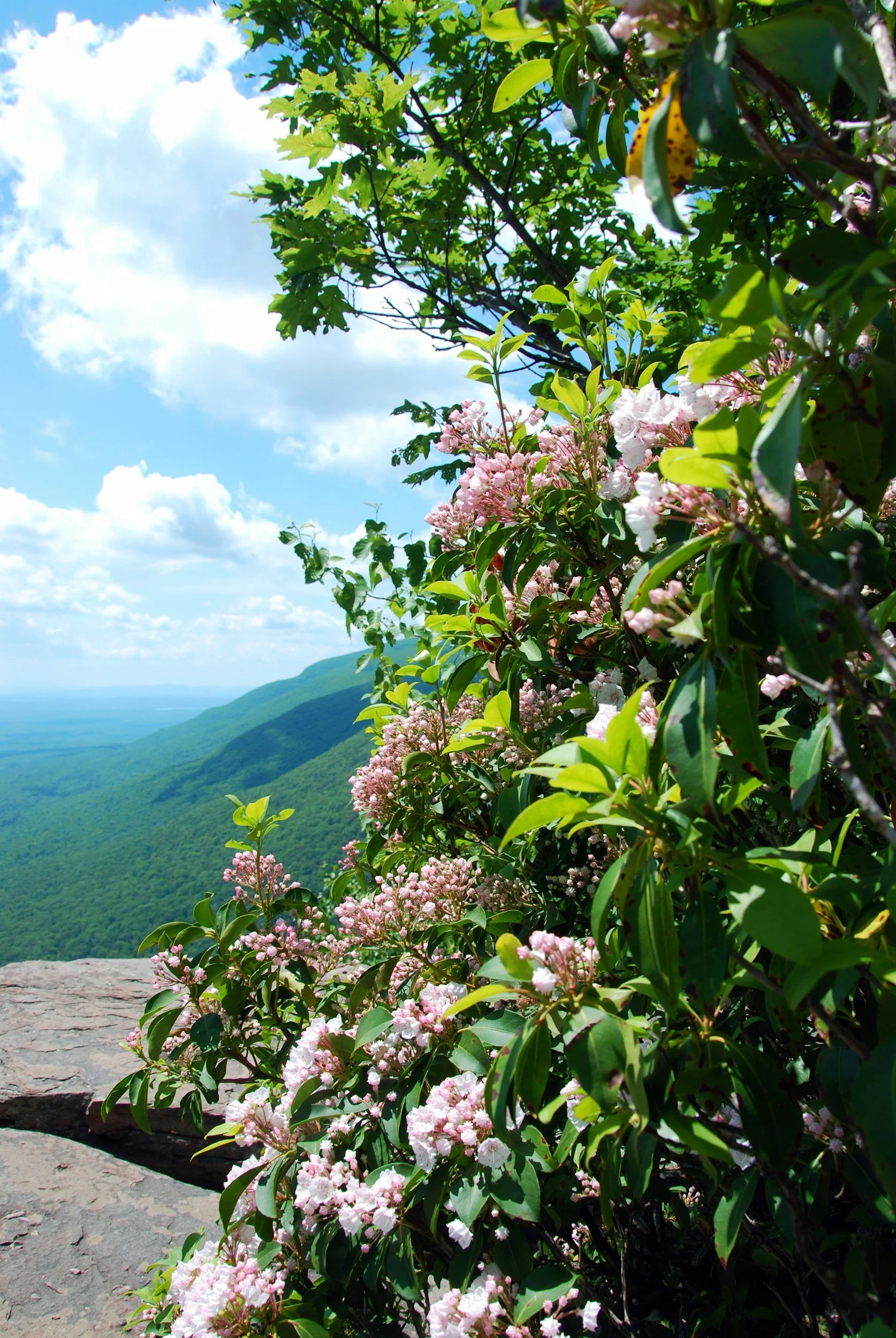 The Best Things to Do in Cashiers, NC: A Guide For Visitors