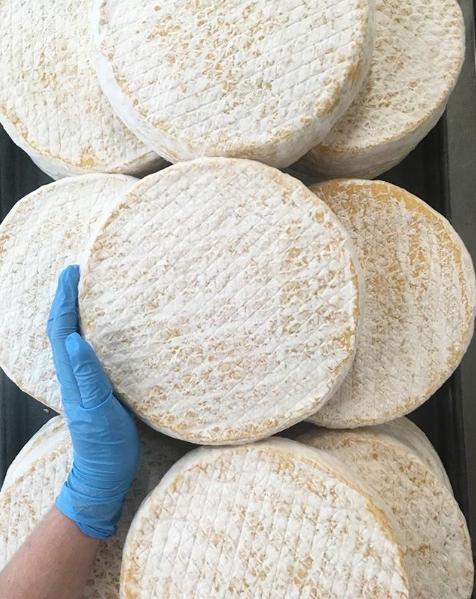 Old Kentucky Hand.PNG