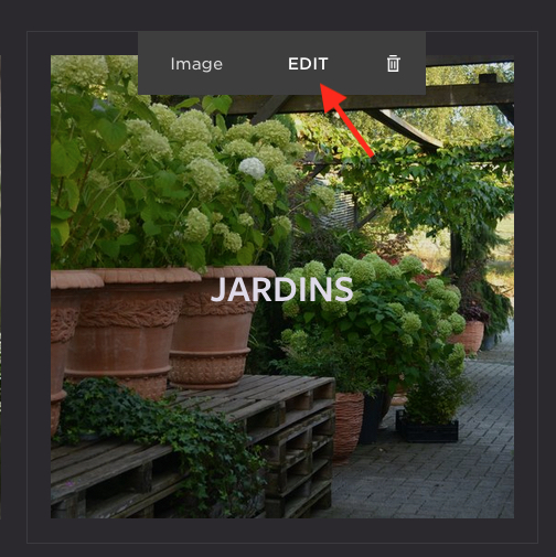Menu apparaissant quand on survole une image
