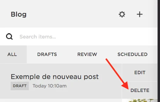 Menu BLOG , bouton DELETE