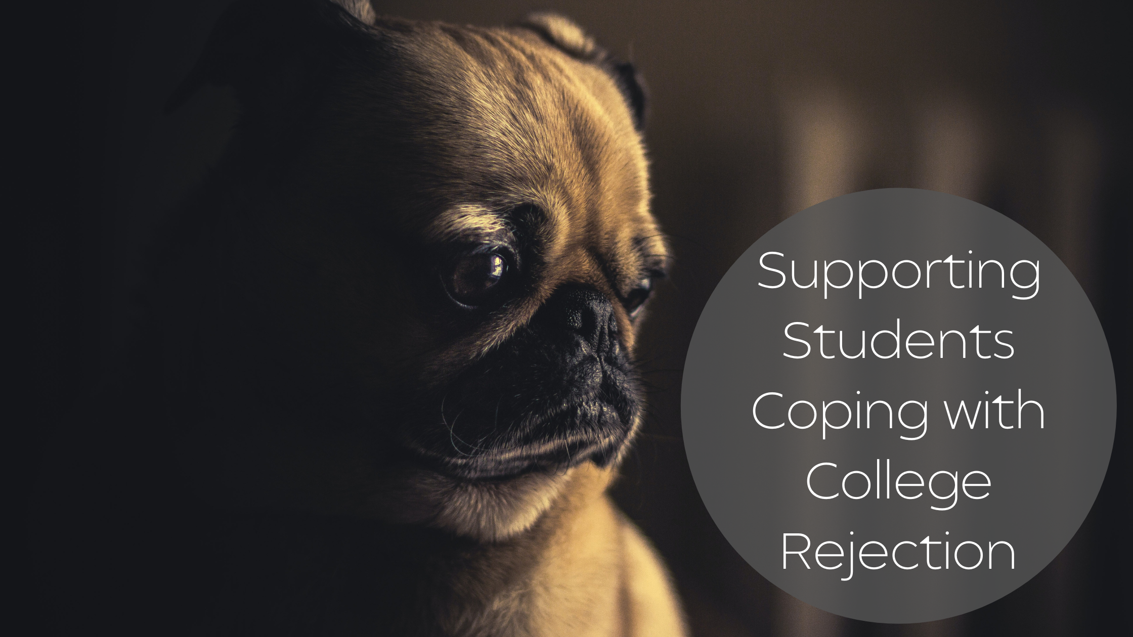 Supporting Students Coping with College Rejection