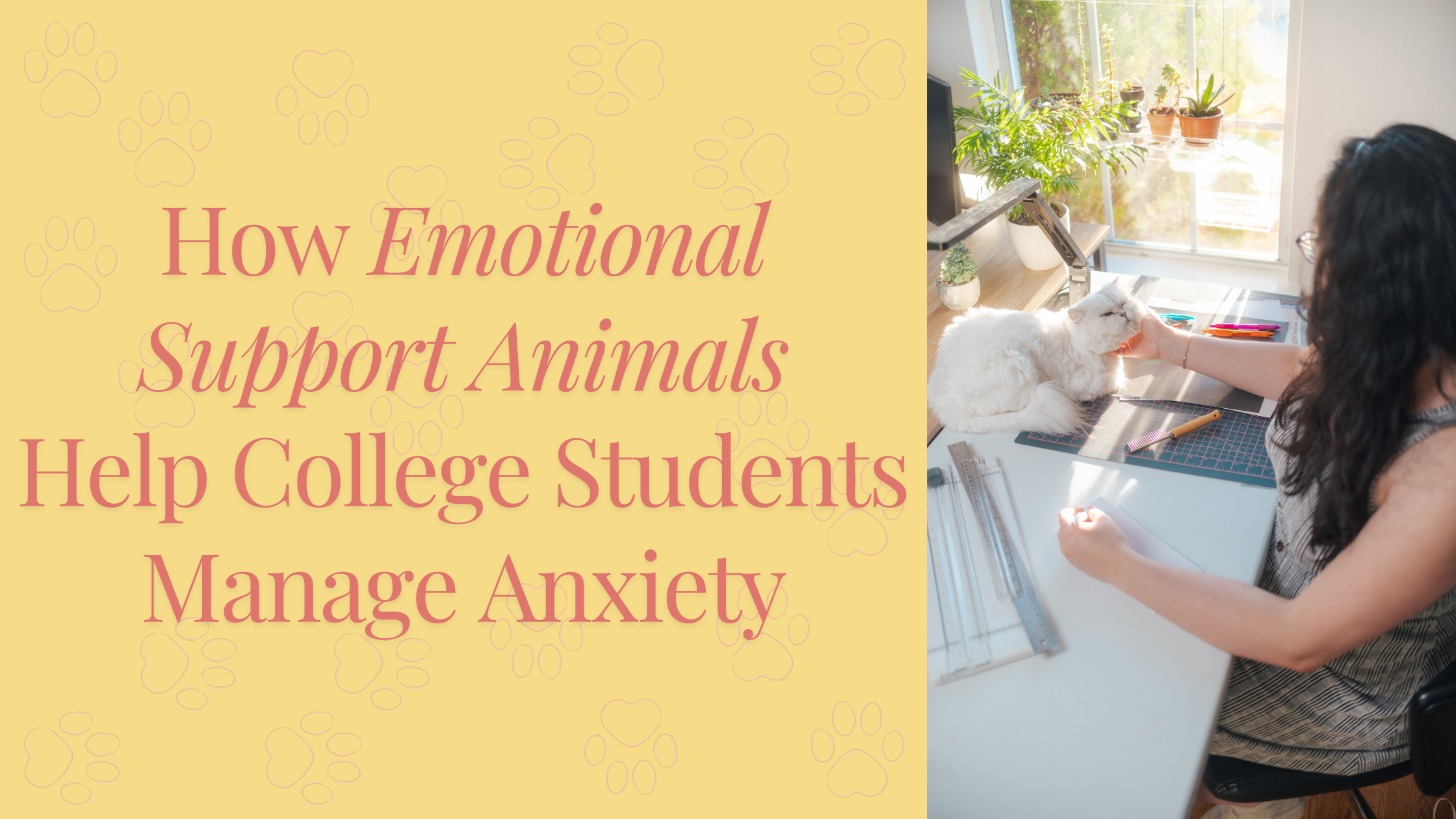 How Emotional Support Animals Help College Students Manage Anxiety