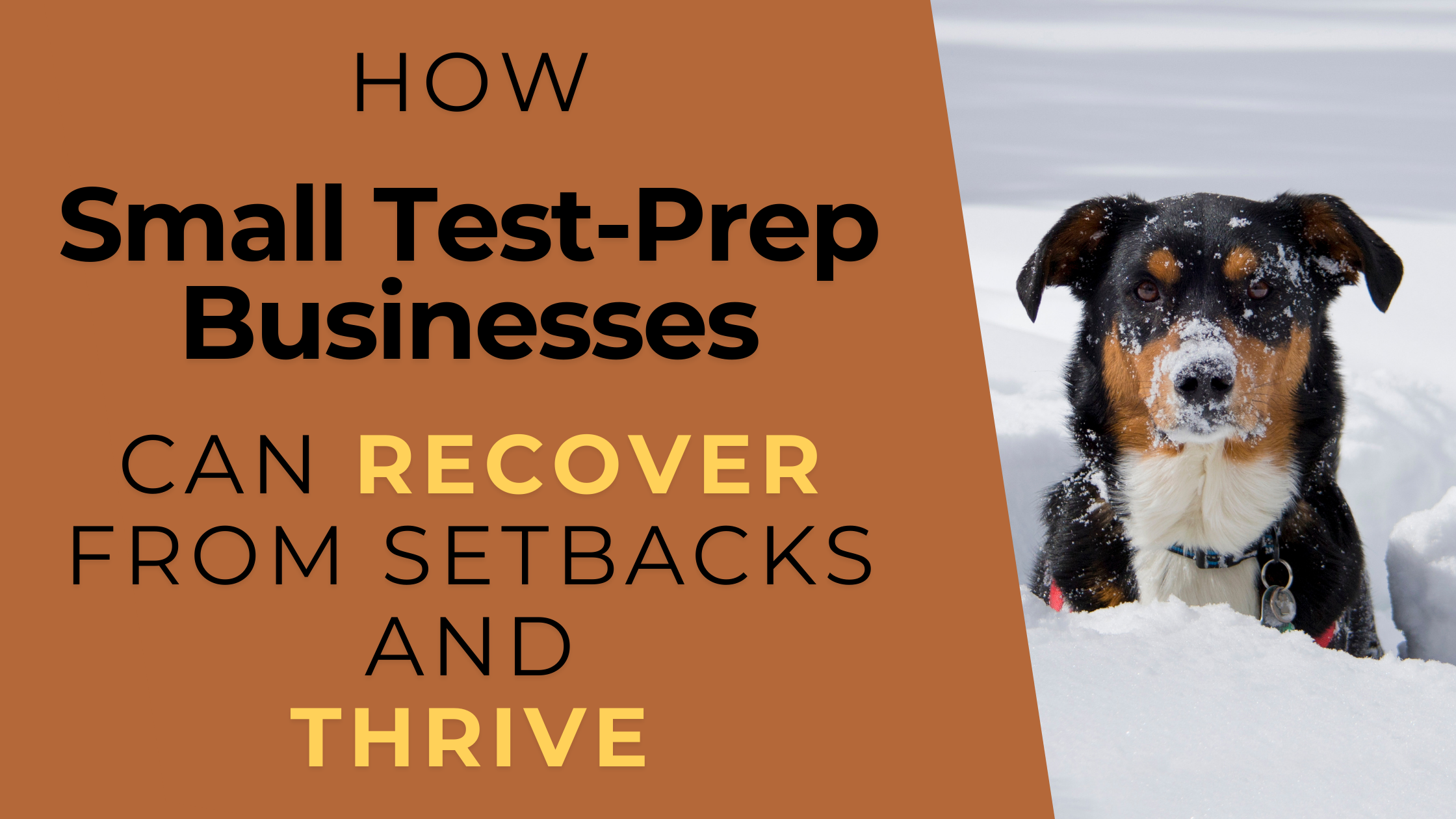 How Small Test-Prep Businesses Can Recover From Setbacks and Thrive