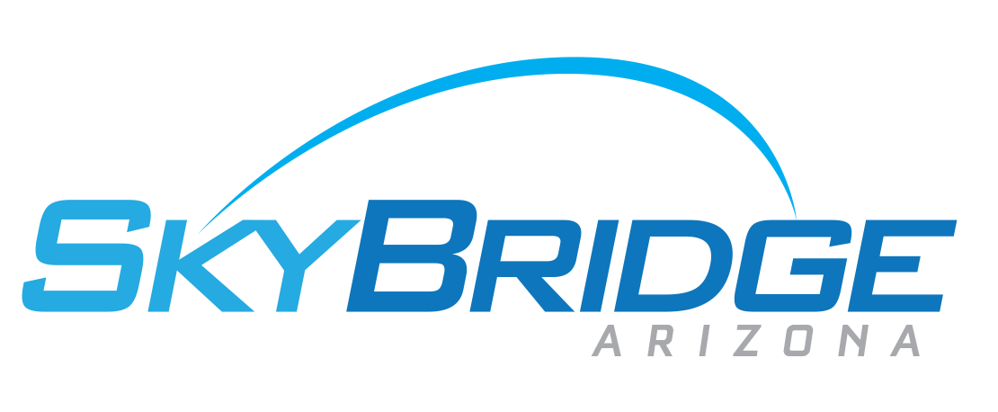 SkyBridge logo v.6.png