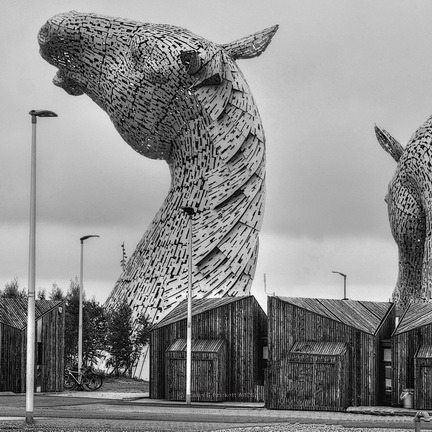 MG032 - "Kelpies from behind"