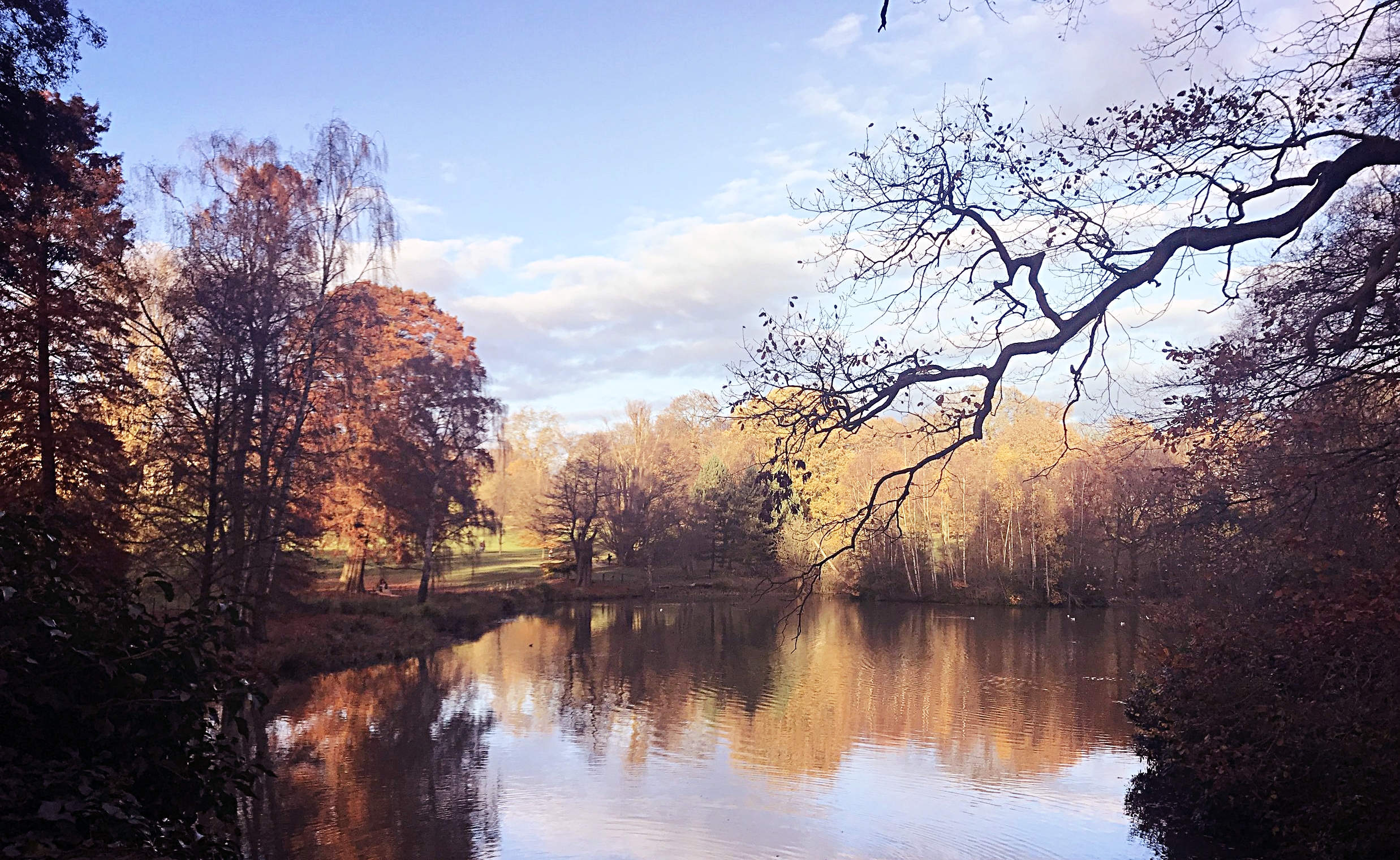 Things You Don't See