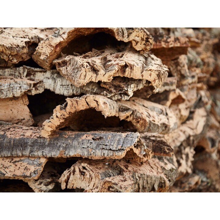 The Cork harvest for 2019 has come to an end.⠀⠀⠀⠀⠀⠀⠀⠀⠀
-⠀⠀⠀⠀⠀⠀⠀⠀⠀
The Cork Oak trees are meticulously stripped every year between May and August, when the tree is at its most active phase of growth and it is easier to strip without damaging the trunk