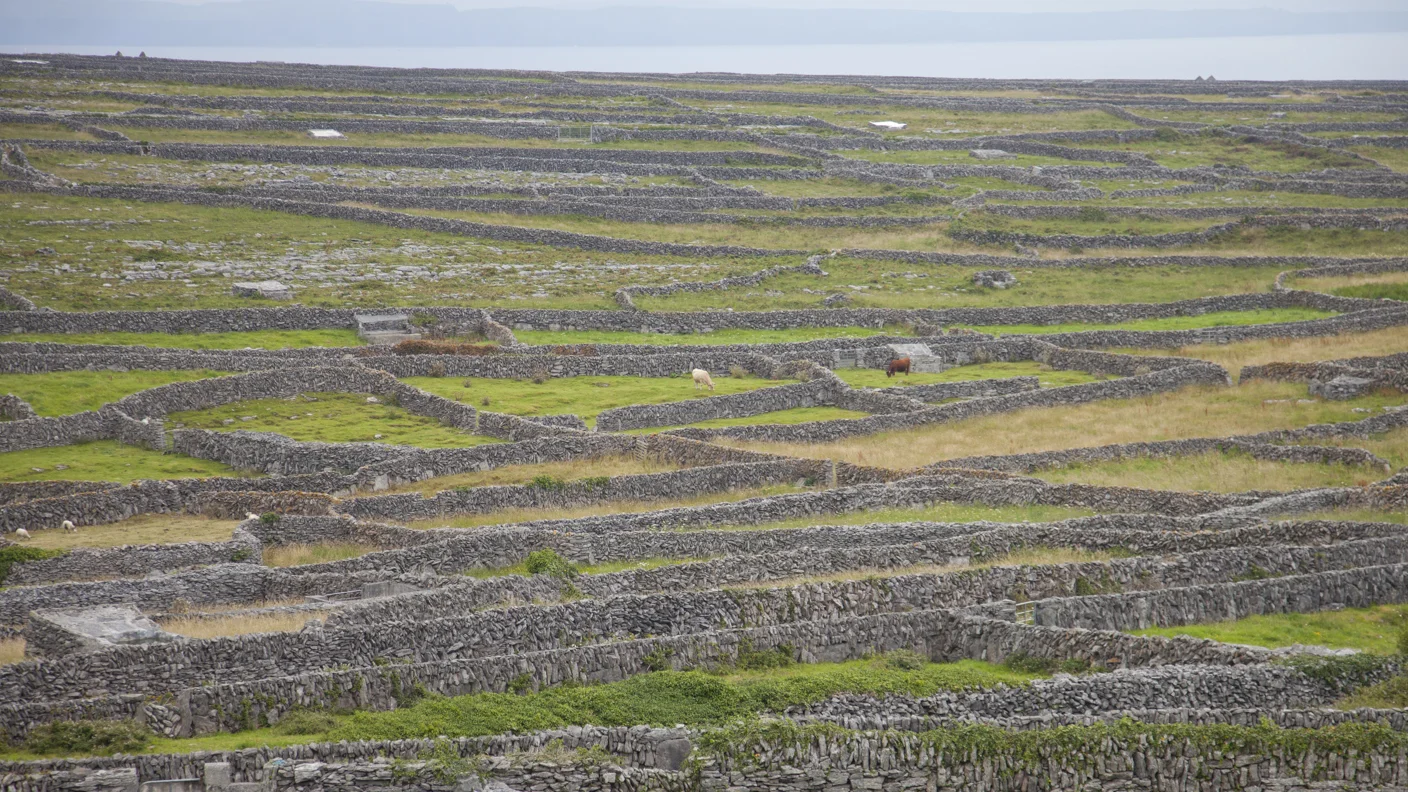 170725_Ireland_0385.jpg