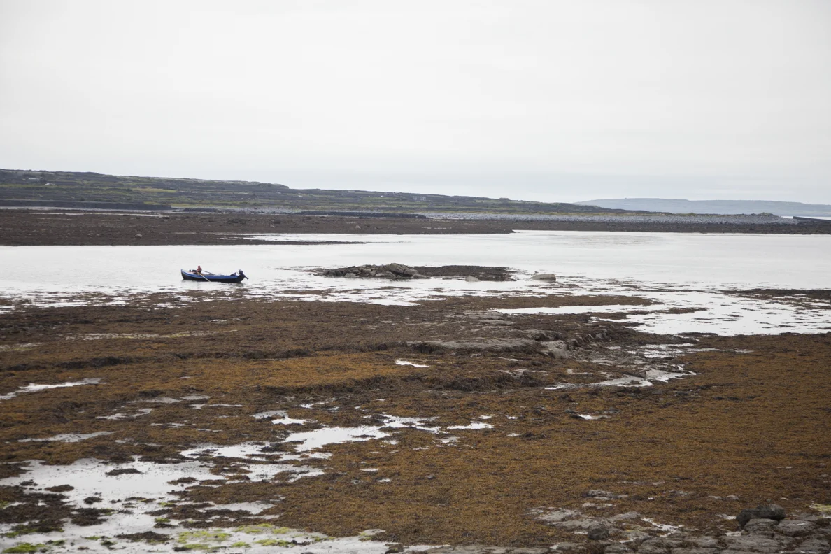 170725_Ireland_0623.jpg