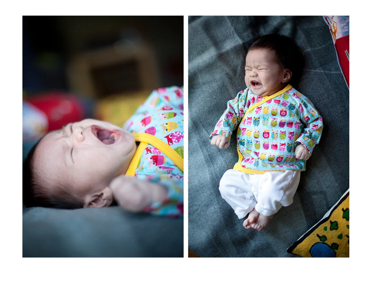130104_Marigold_CryDip.jpg