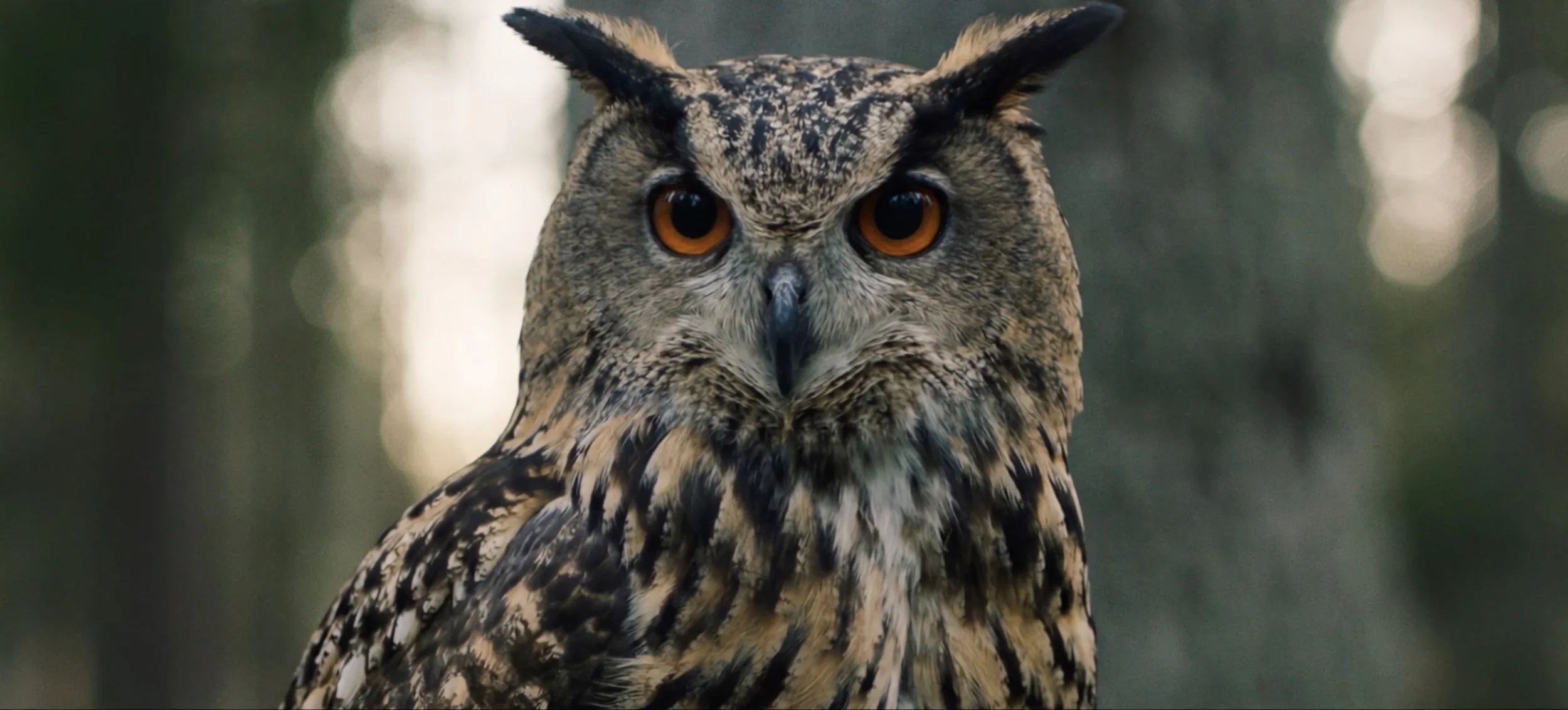 Telia x Apple "Come Closer"