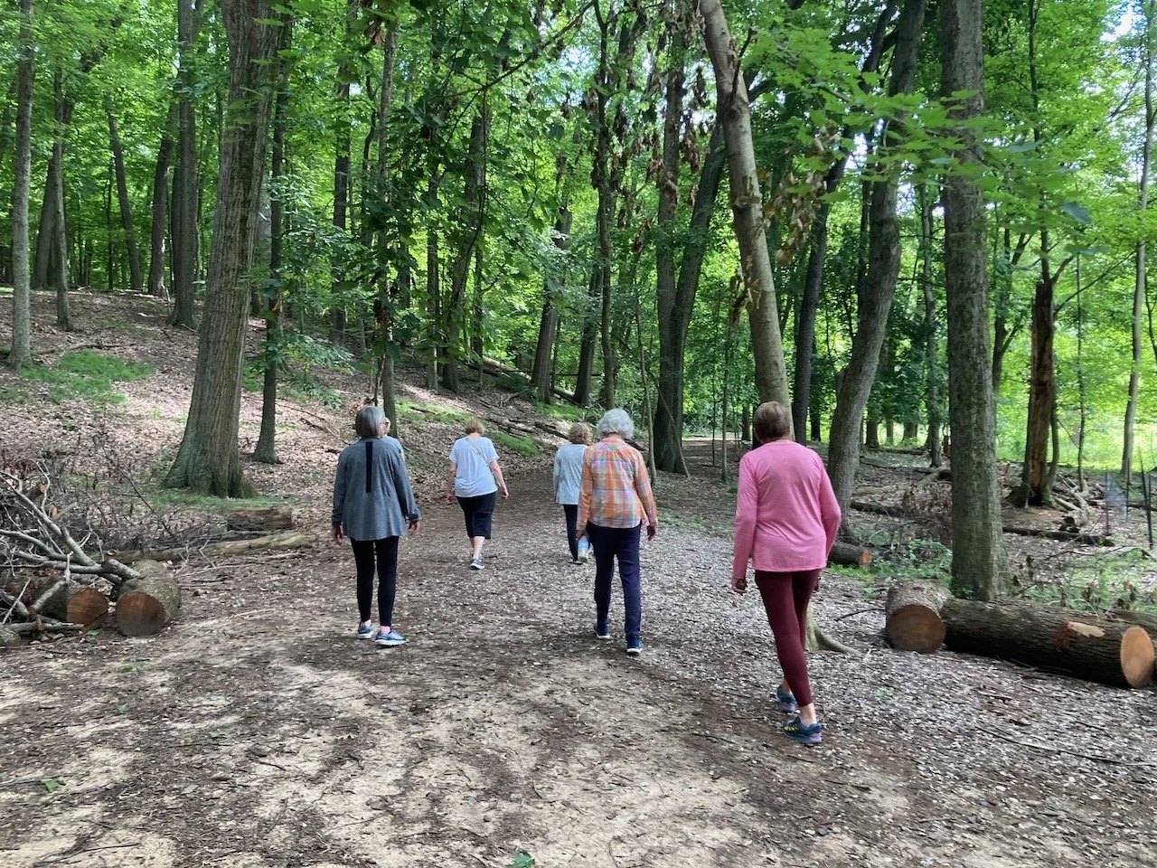 Yoga and Forest Bathing