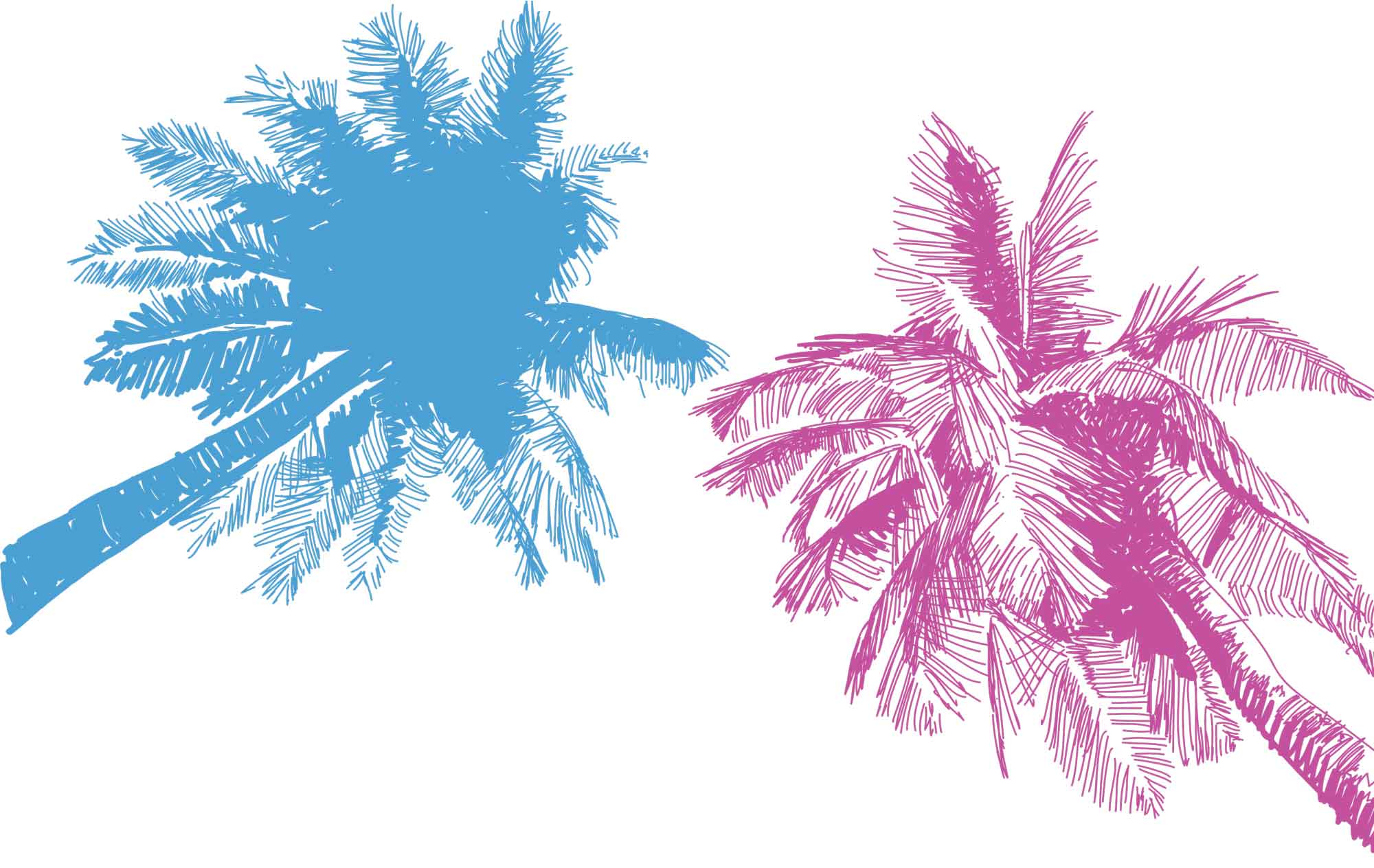 draw-palm-trees.jpg