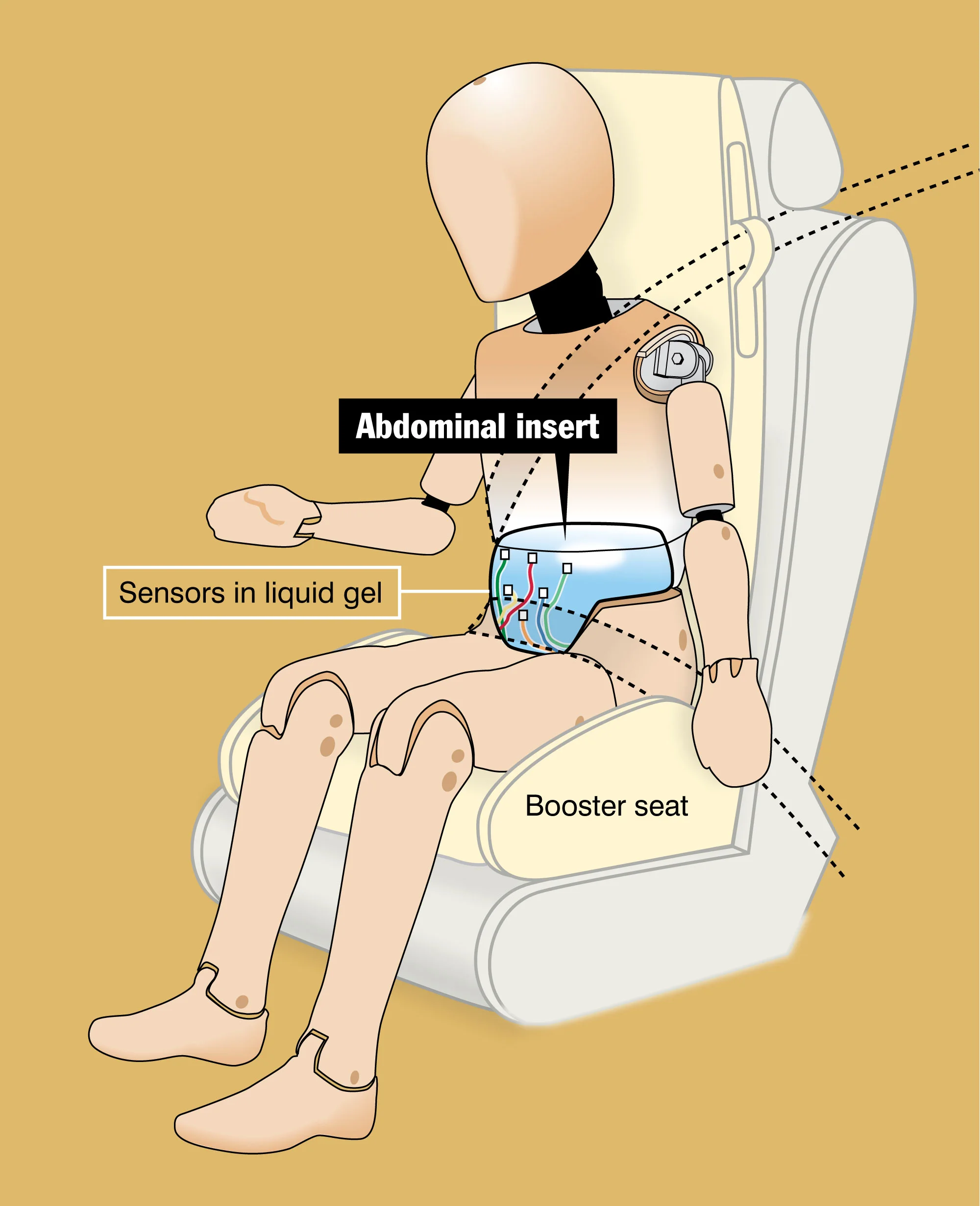 thumb-Crash-test-dummy.jpg