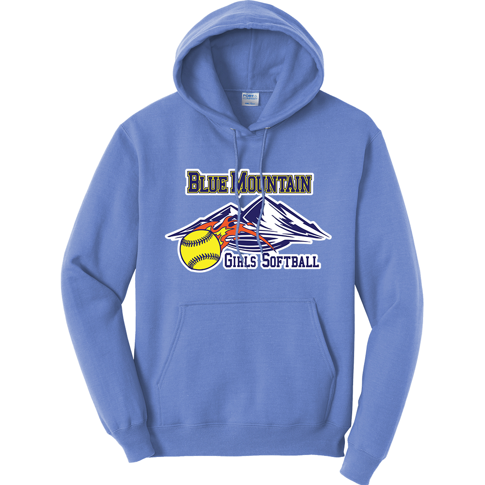 carolina blue hoodie